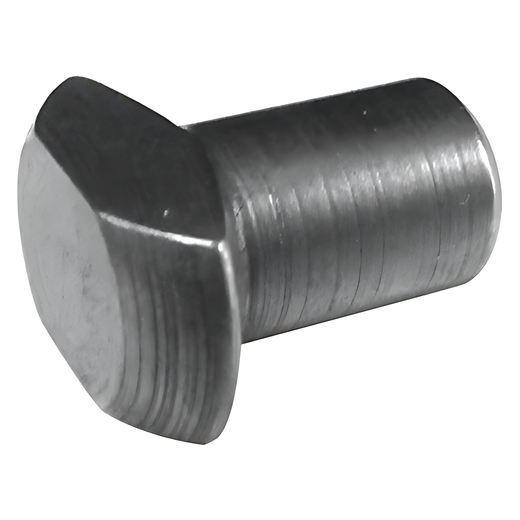 PINO GUIA - BF8T7D439A