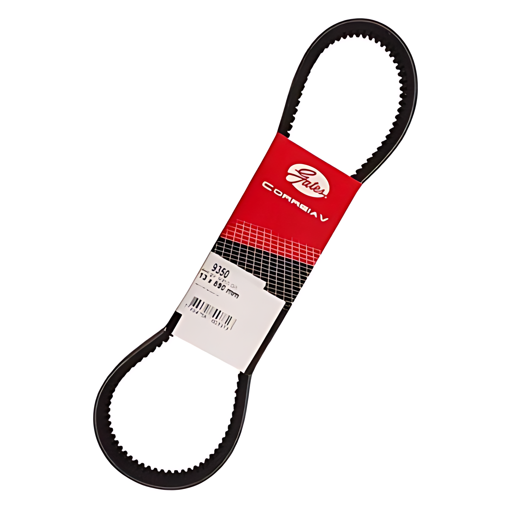 CORREIA V - K65B32611