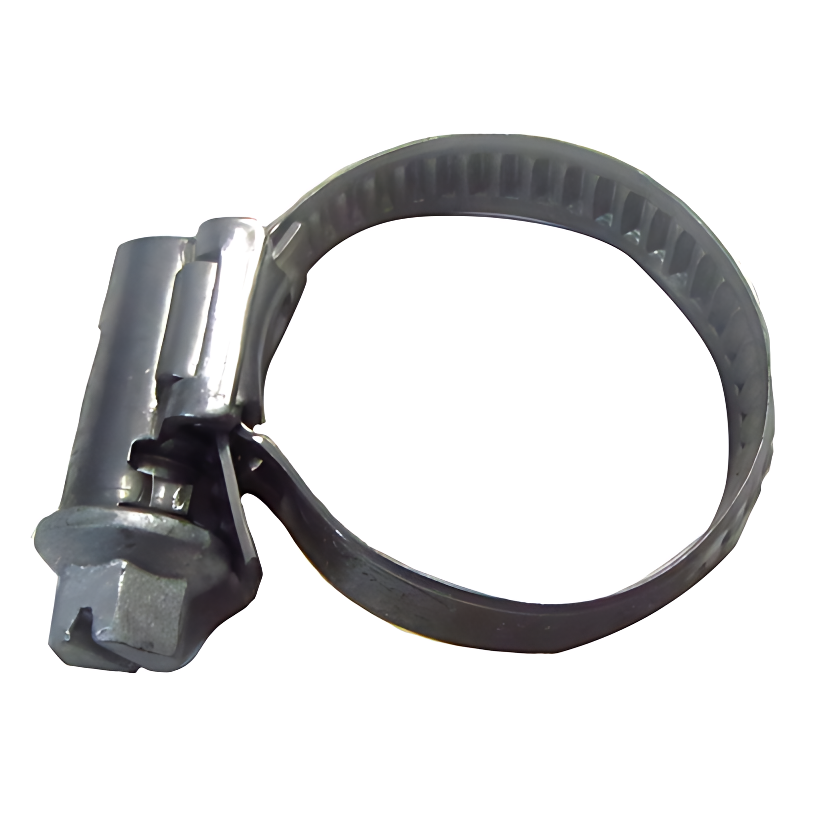 ABRACADEIRA - N024510.1