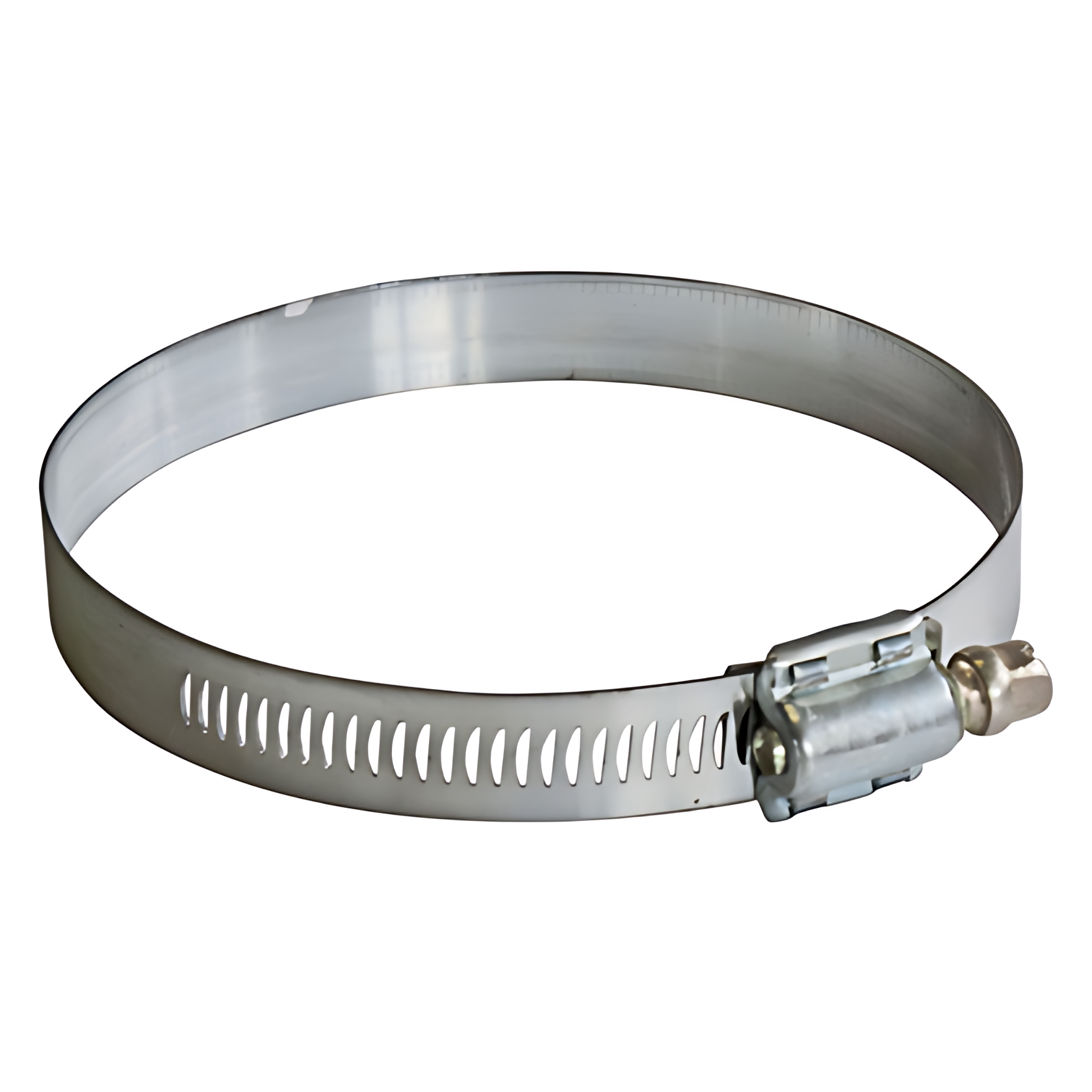 BRACADEIRA - N0245151