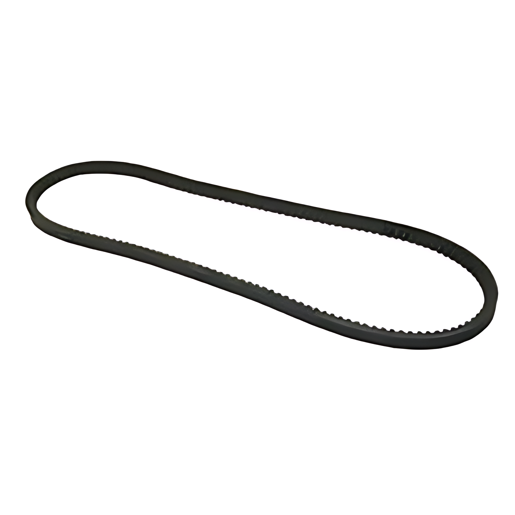 CORREIA V - T11145755