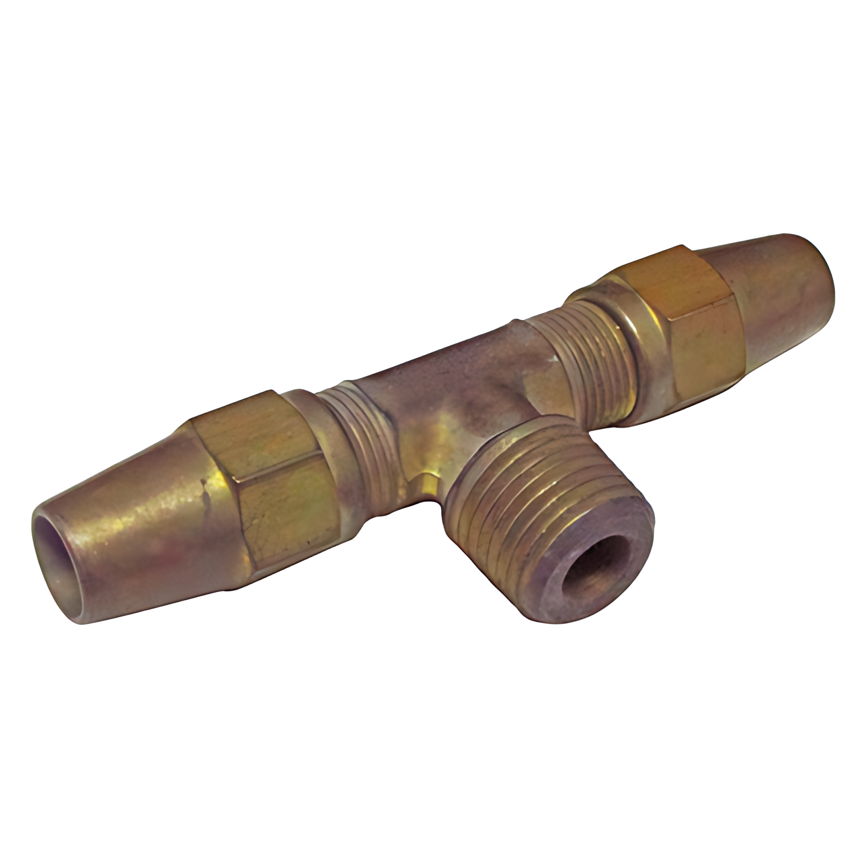 TE MACHO - T11525351A