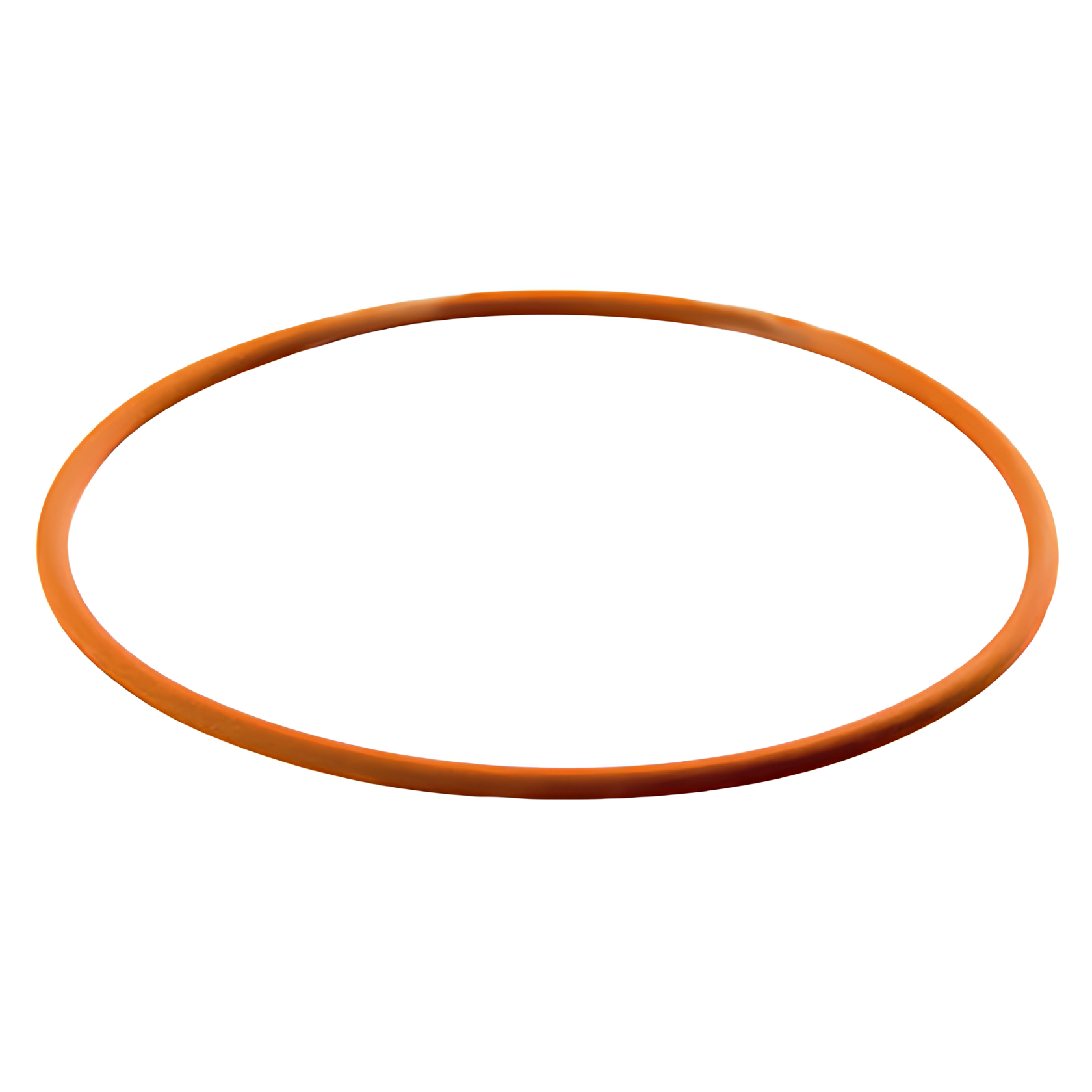 ANEL CAMISA VW MWM X10 X12 MAXXFORCE VITON - 491290