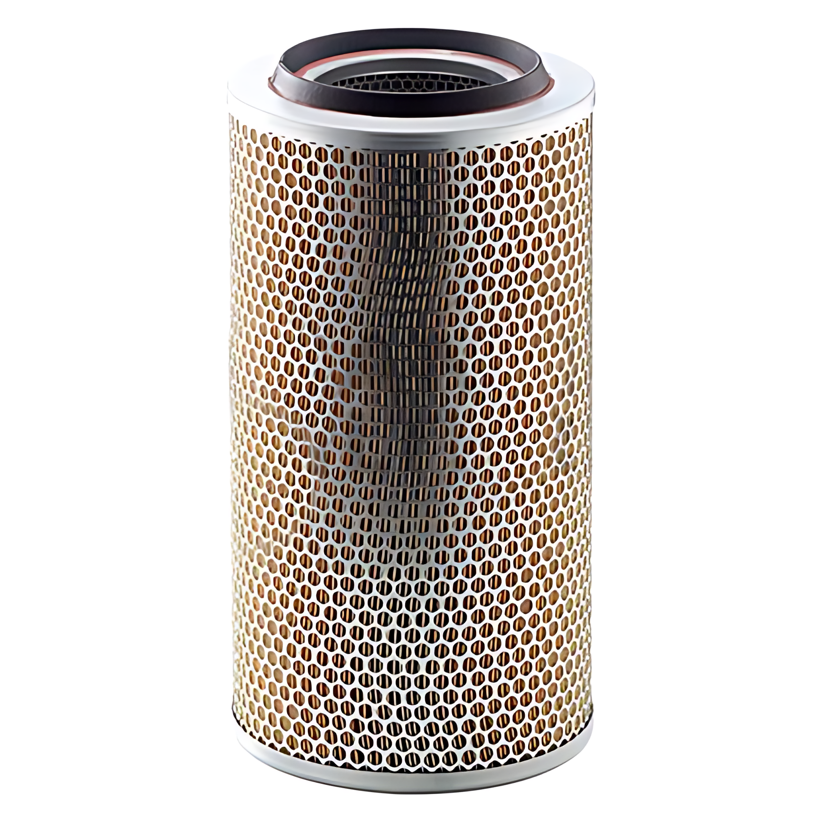 FILTRO AR - C20325/2