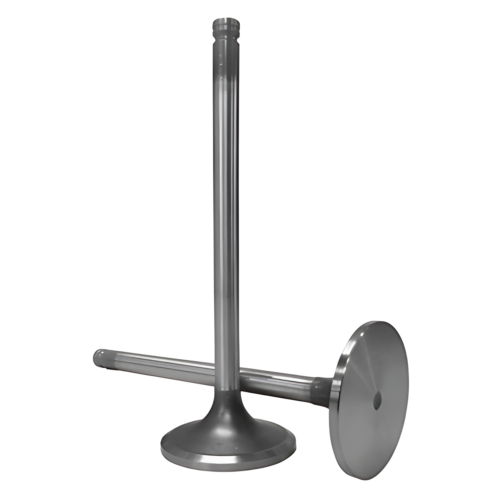 VALVULA ADMISSAO MOTOR CUMMINS 6CTAA 8.3 - TE3109601