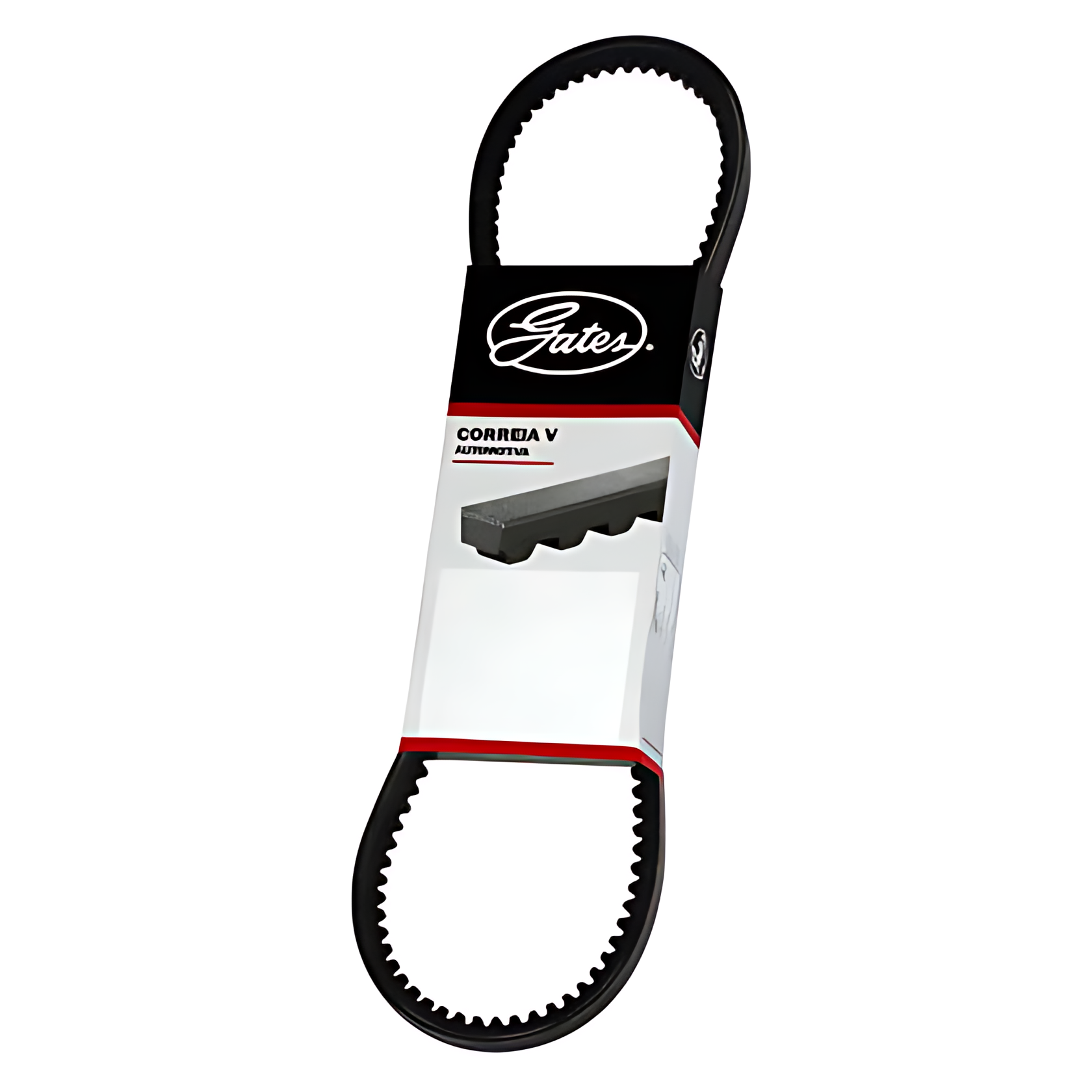 CORREIA MOTOR - TEG145755A