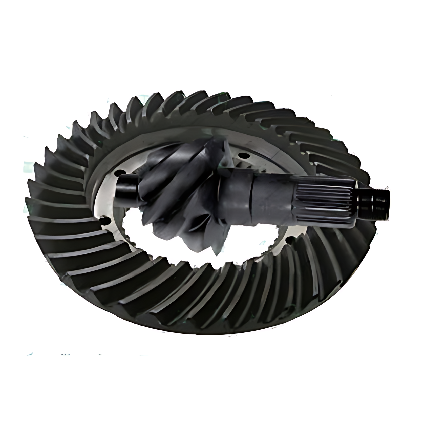 COROA PINHAO 8X42 HL4 - 300015624