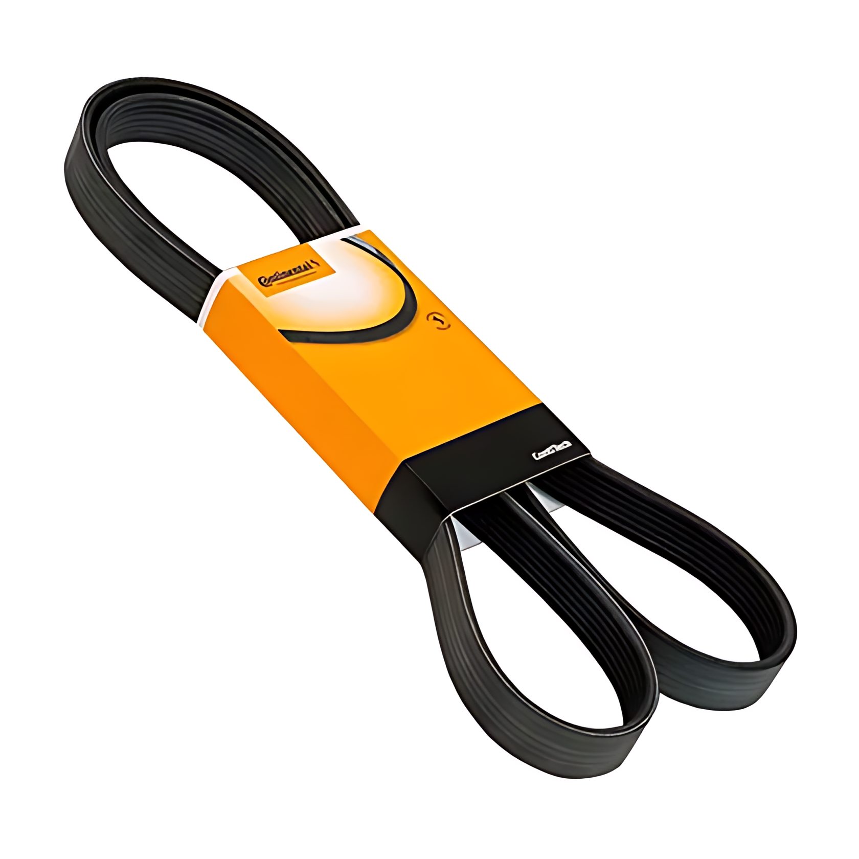 CORREIA MULTI V ELITE - 0029930696