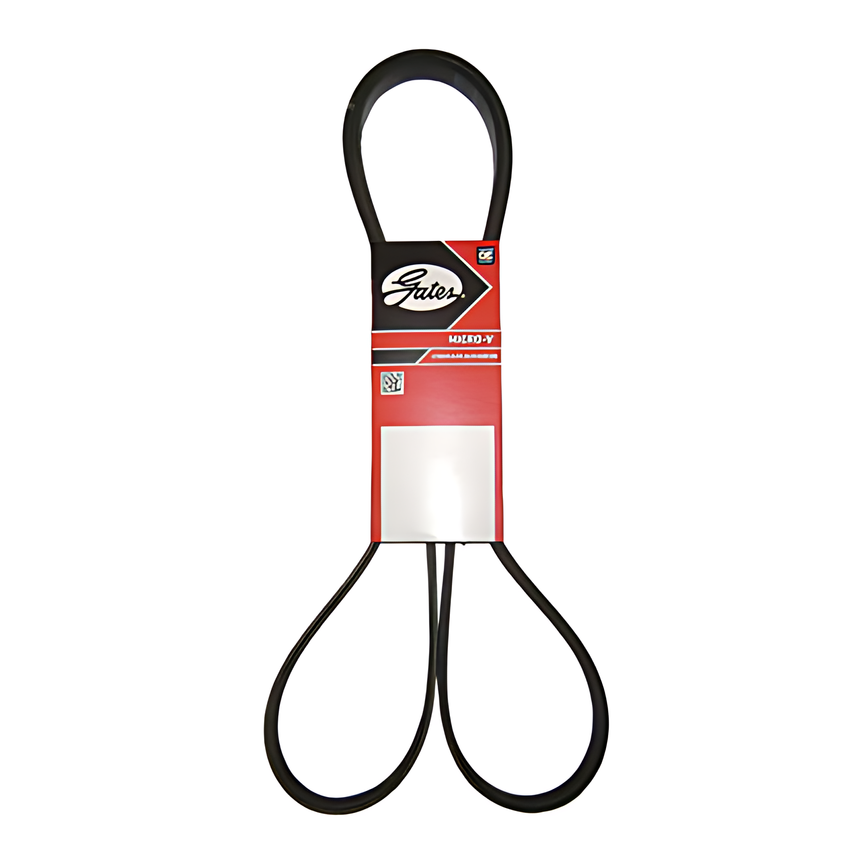 CORREIA MOTOR (8PK1850) - BG6X8620AA