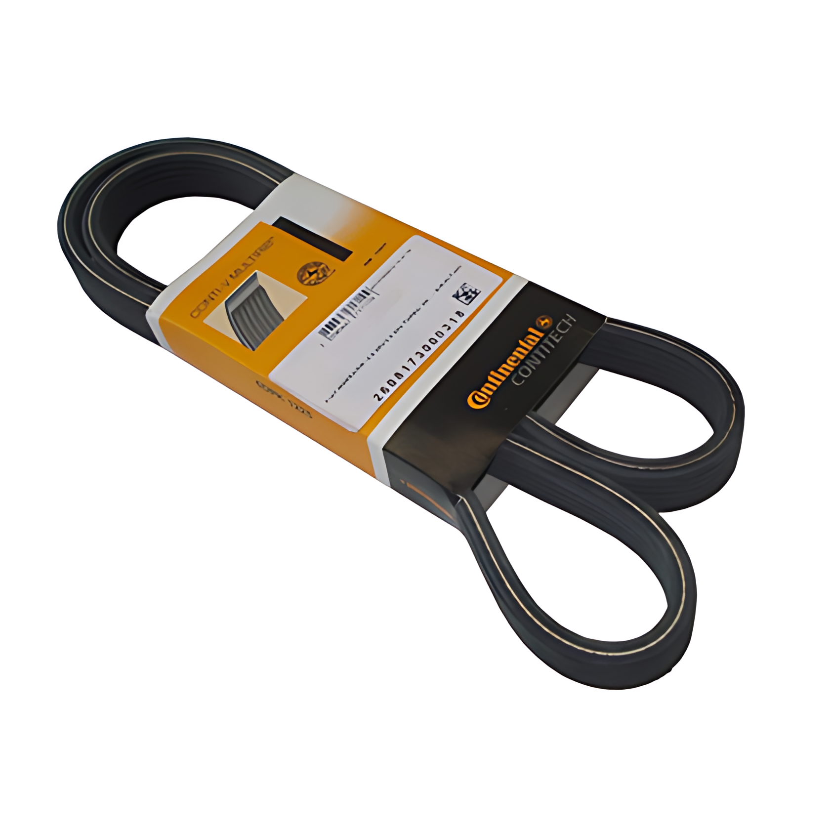 CORREIA MULTI V - 20543138