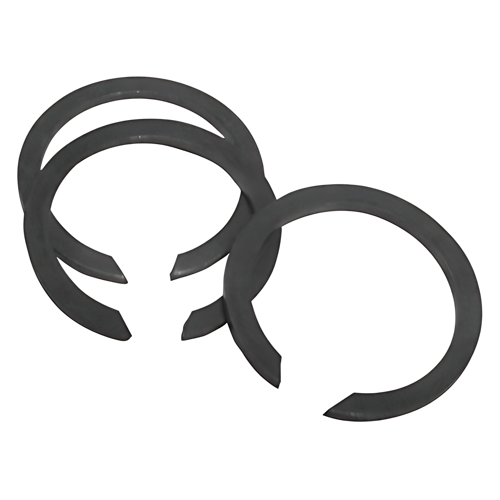 ANEL ELASTICO - TNK311377