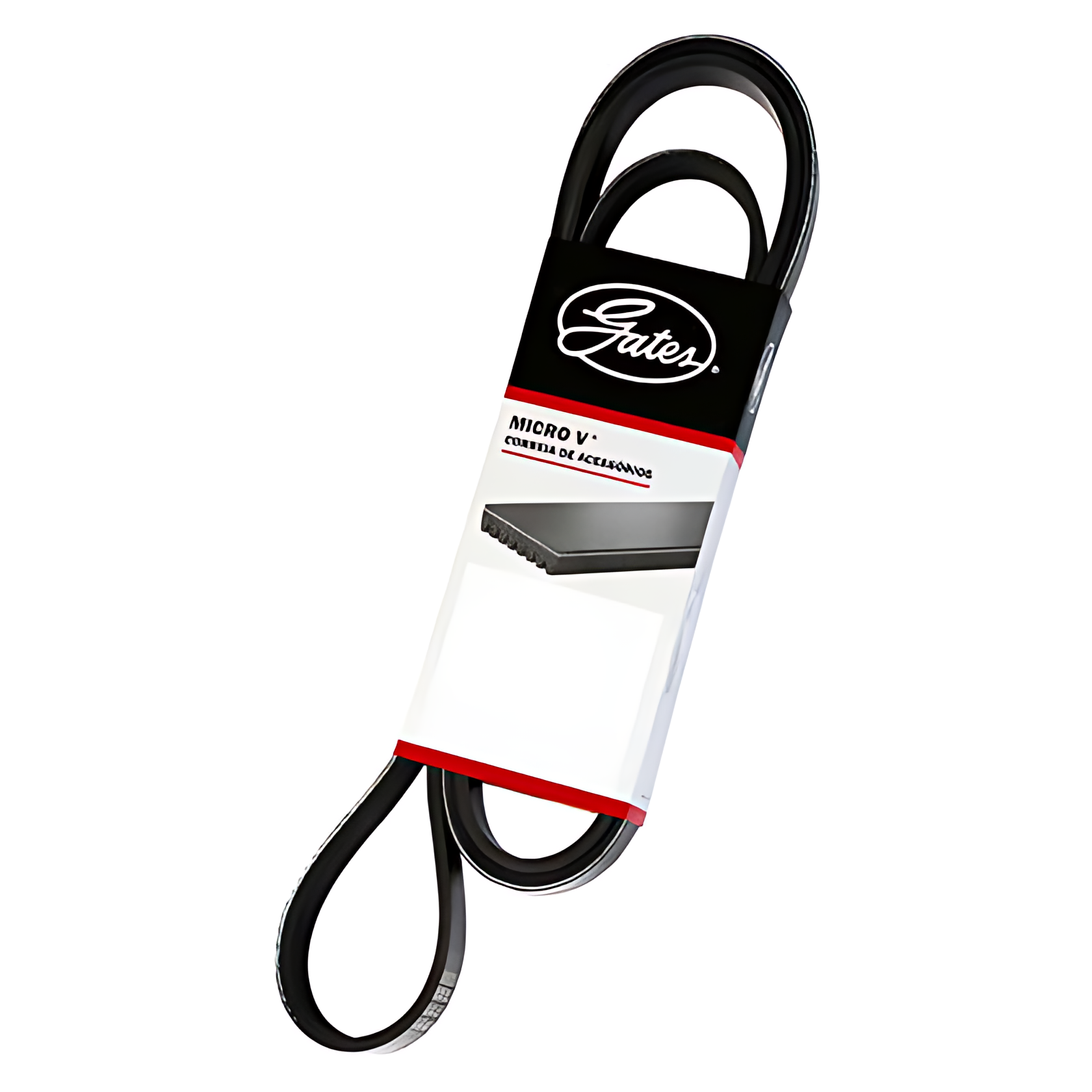 CORREIA POLY V - 8PK2205