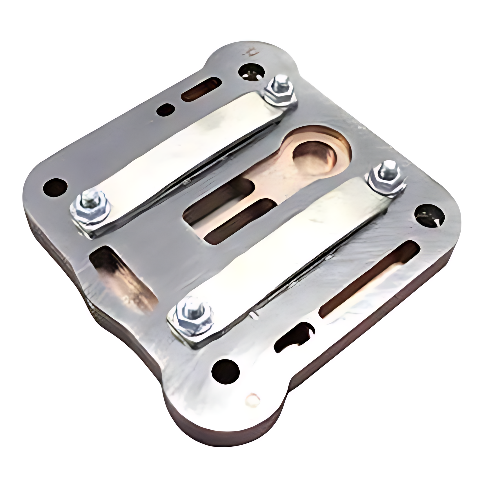 VALVULA LAMELAS - Y004550