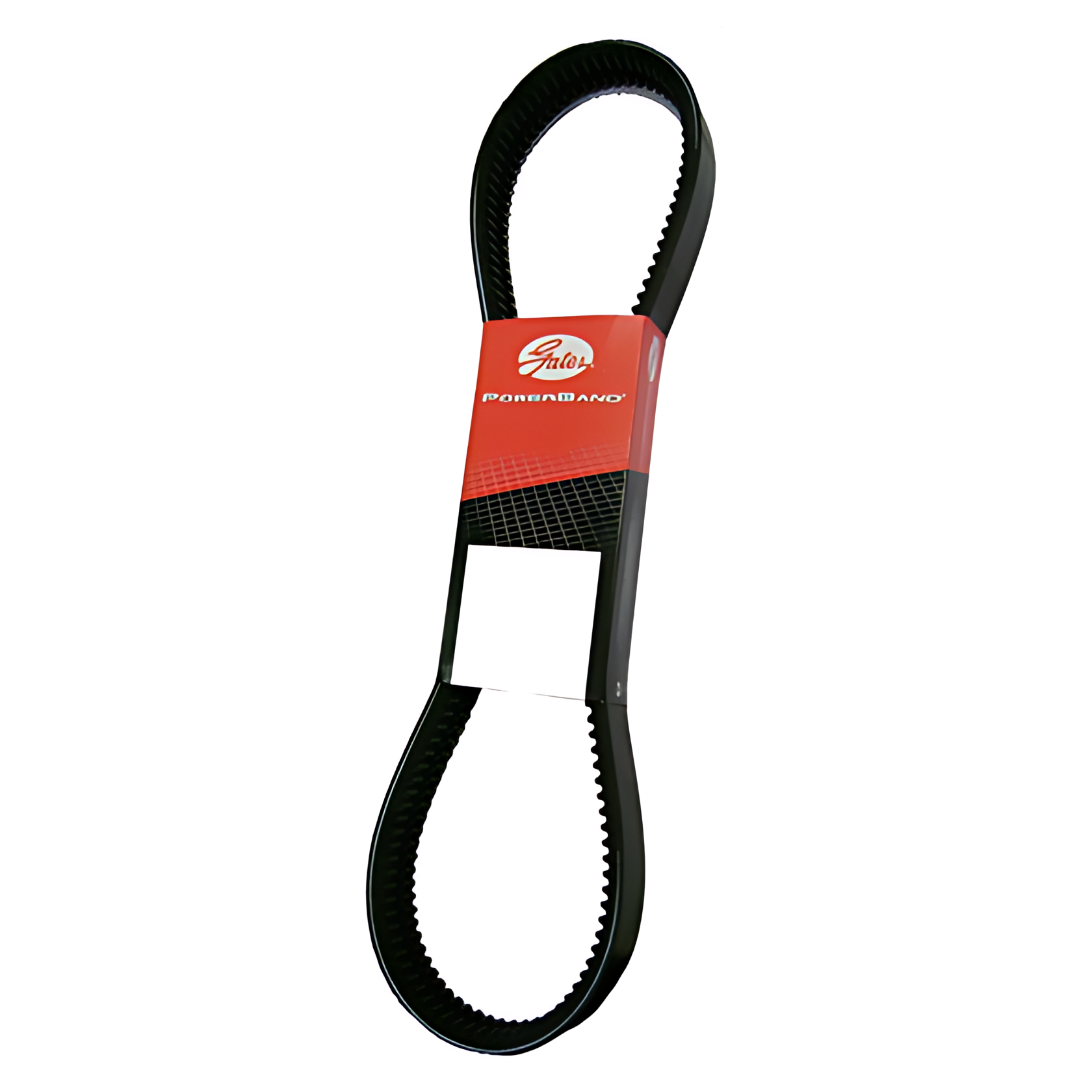 CORREIA V DUPLA - 29100L