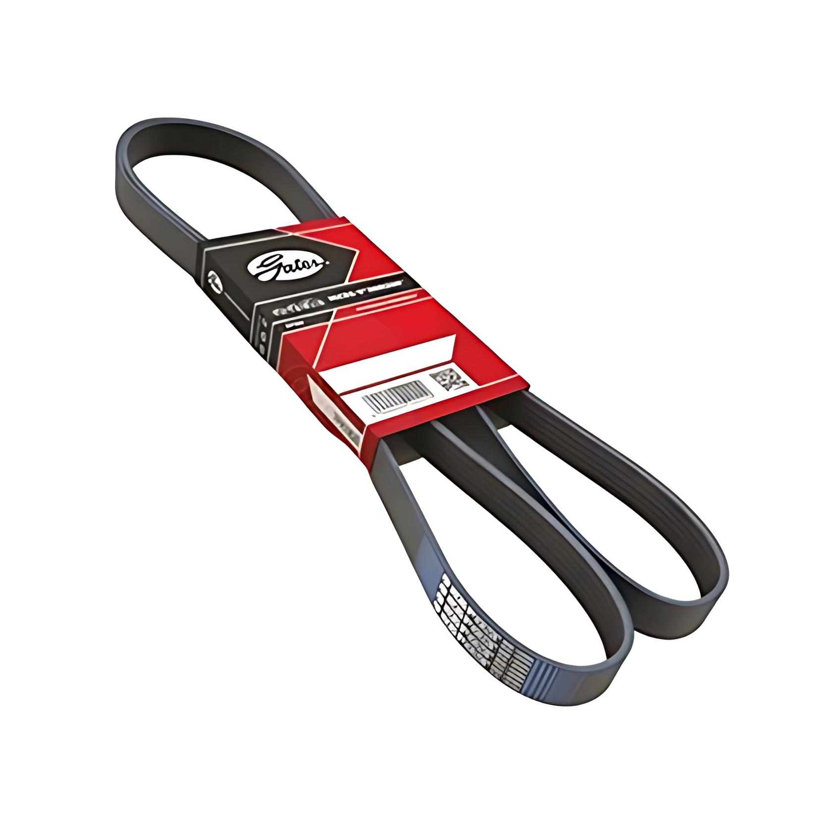 CORREIA POLY V ( 8PK2585 ) - 8PK2585