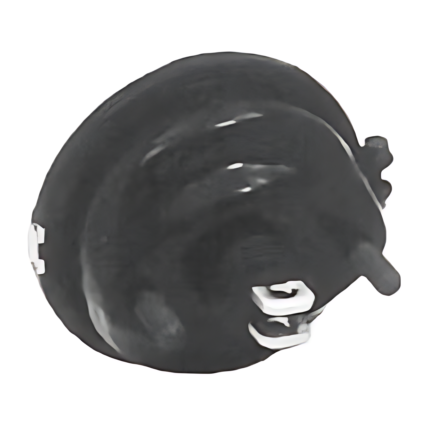 CUICA FREIO DIANTEIRA 20 POL DIREITA - 0074208418