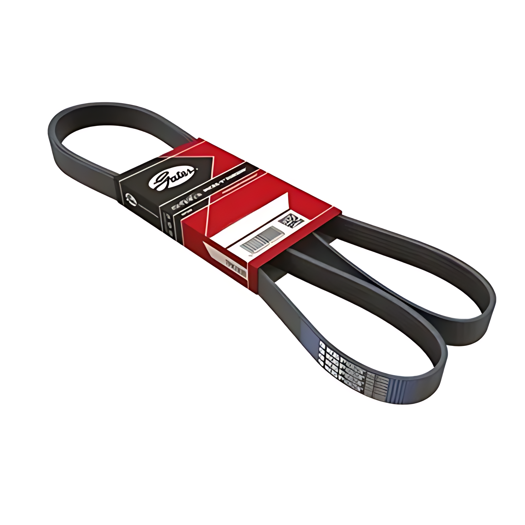 CORREIA MULTI V - 1800522