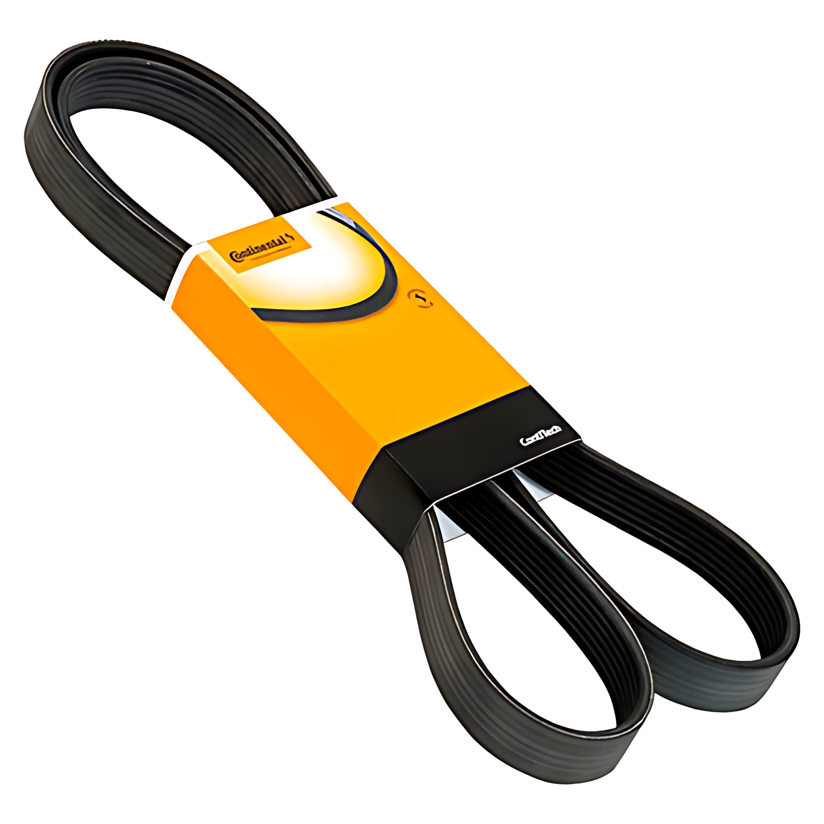 CORREIA - 8PK1550IMP