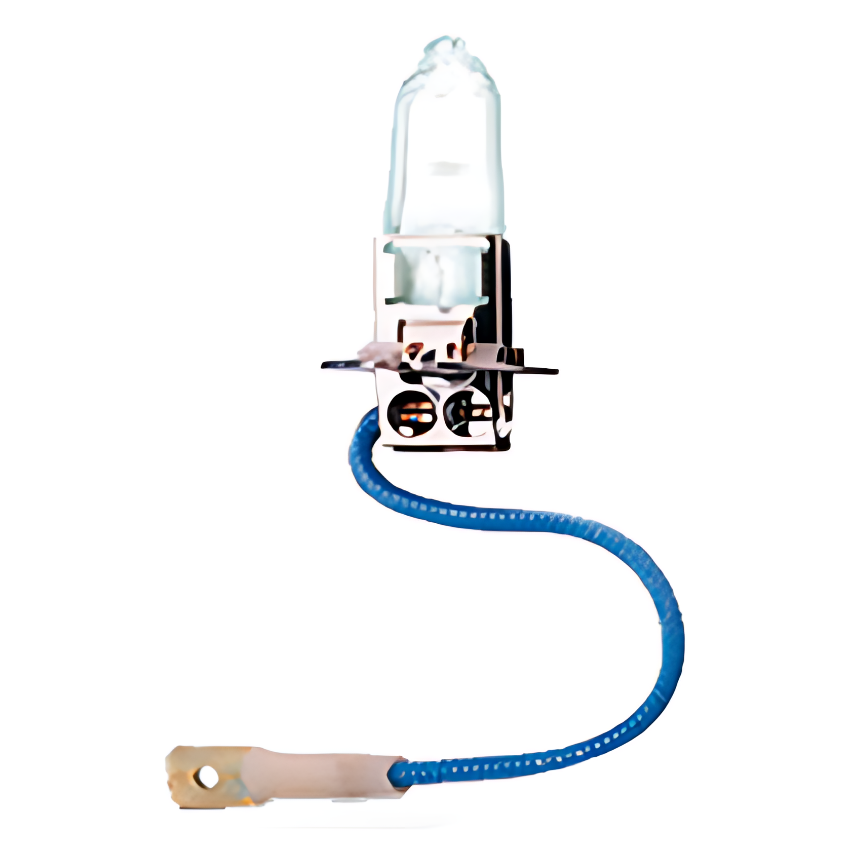 LAMPADA H3 24V 70W - H3 24V HAL