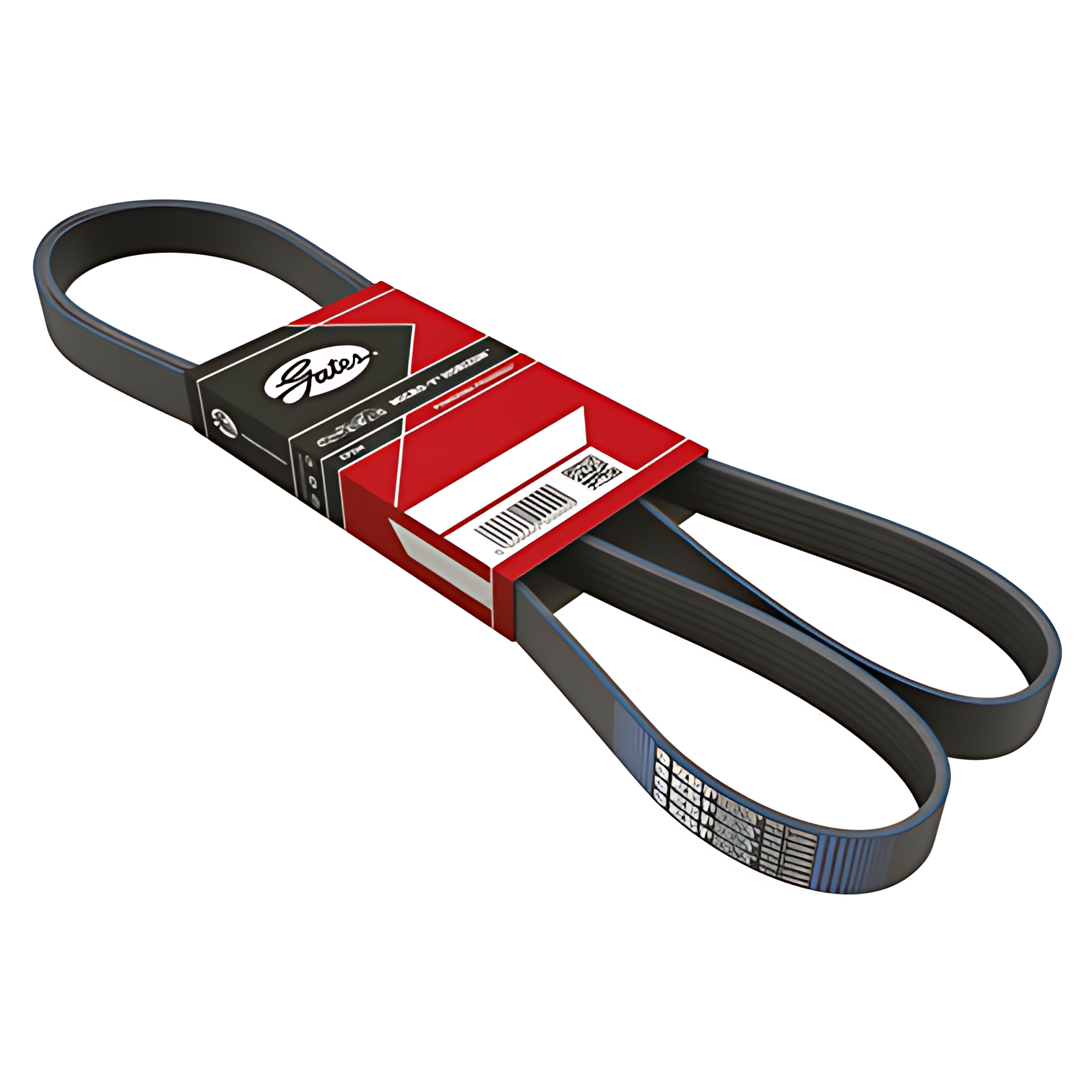 CORREIA MICRO V - 6PK1590