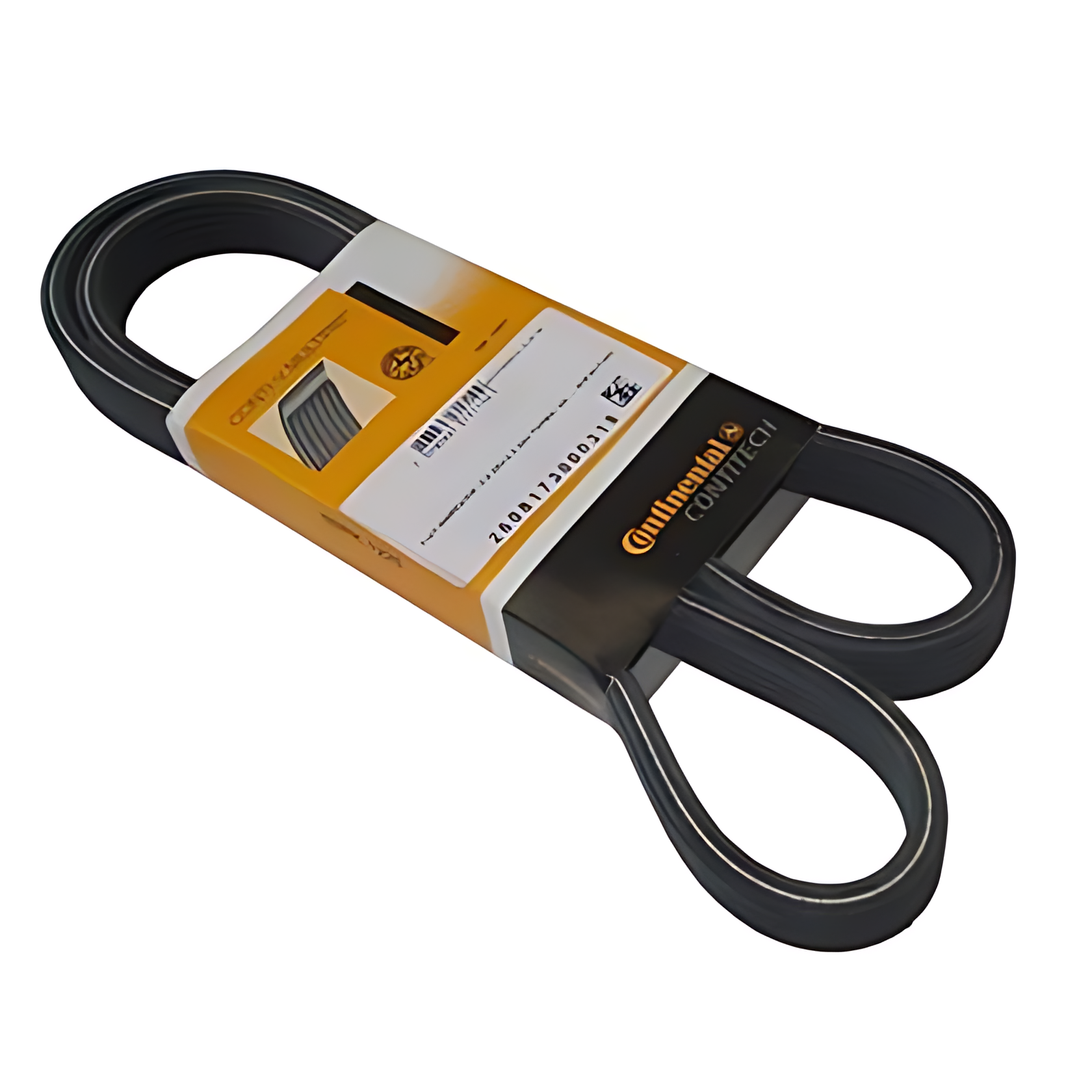 CORREIA MULTI V - 20513561