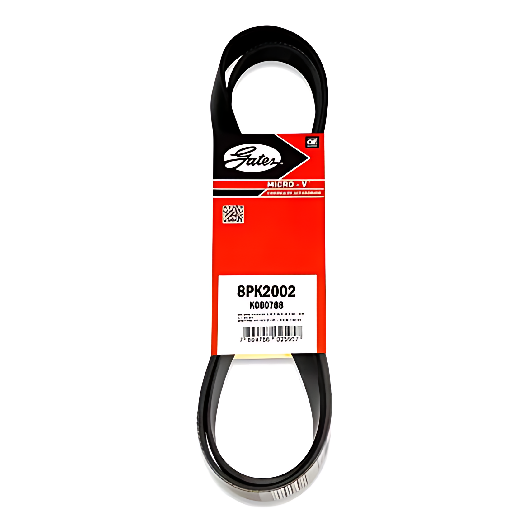 CORREIA MICRO V - 8PK2002