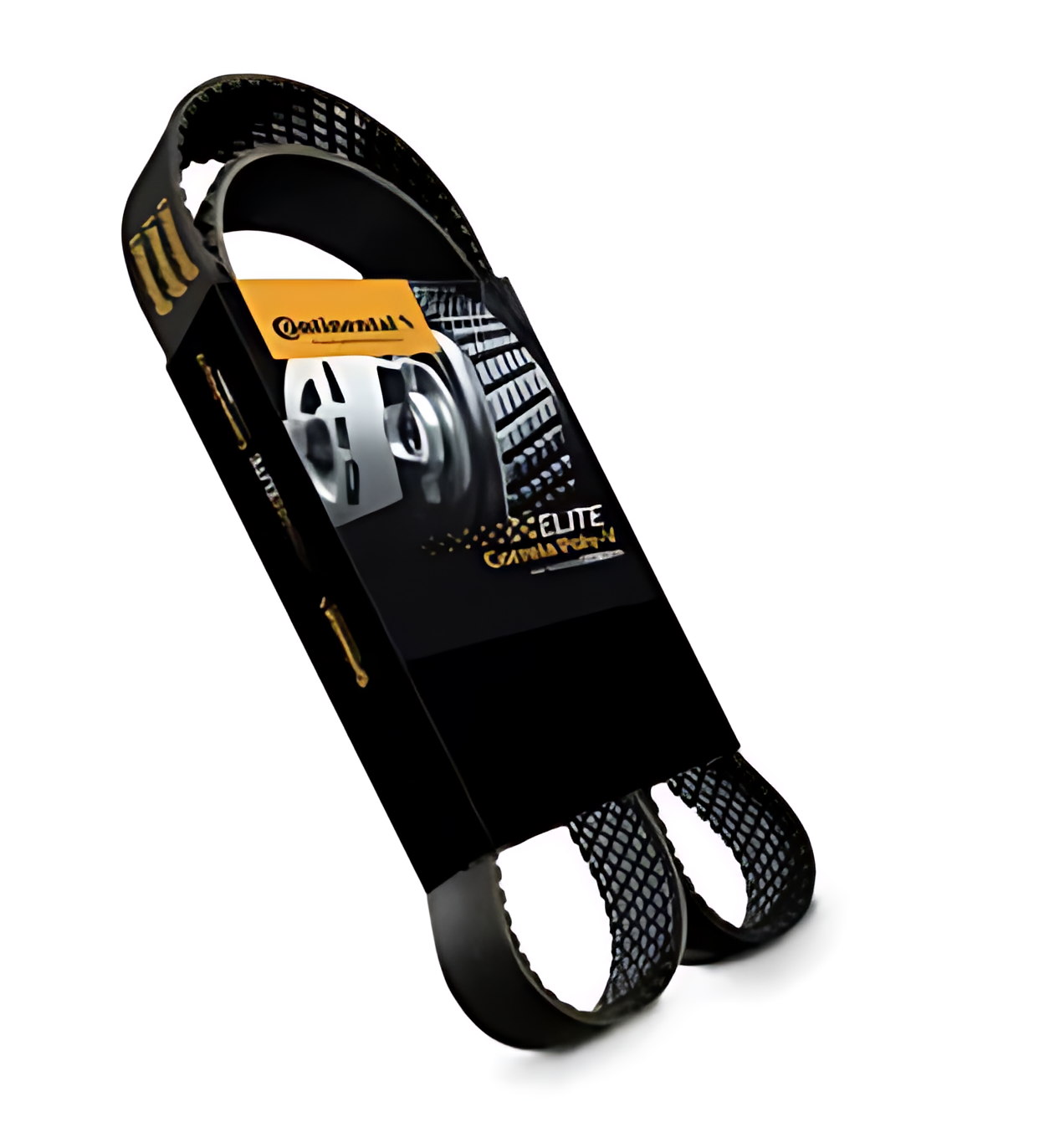 CORREIA POLY V ELASTICA - 504066407