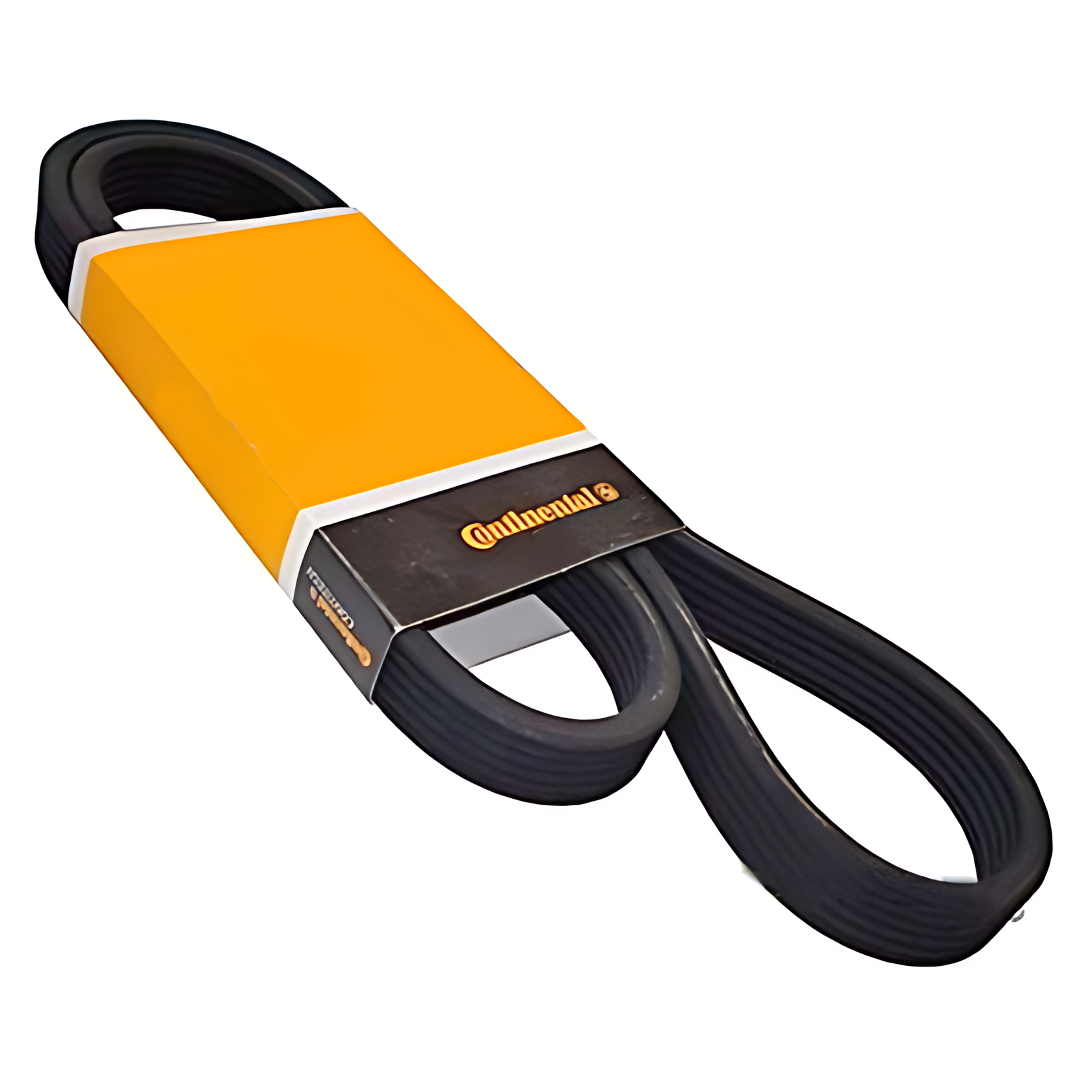 CORREIA MULTI V - 98487322