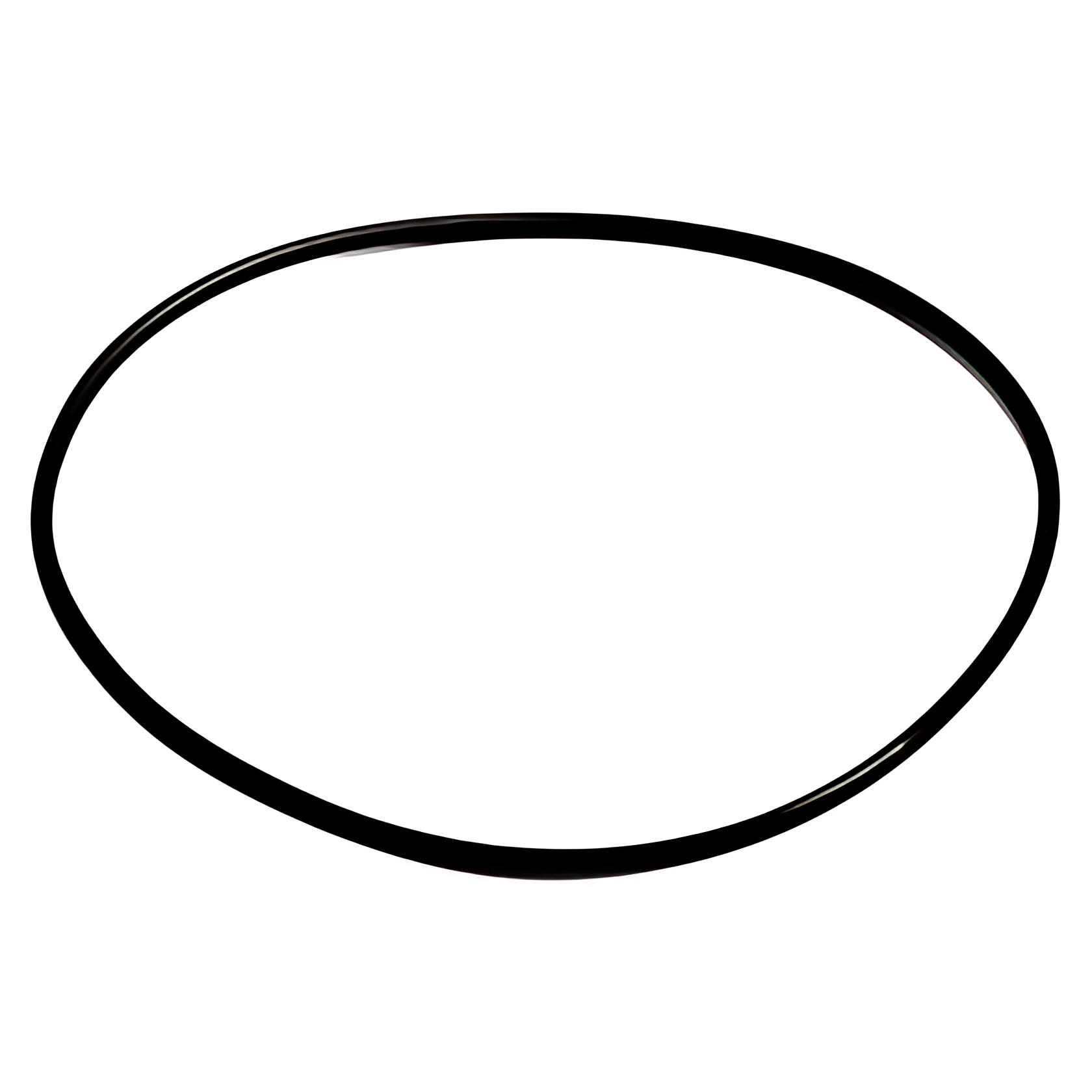 ANEL VEDACAO BOMBA ALTA PRESSAO COMBUSTIVEL CUMMINS MOTOR ISB - 2R0130139A