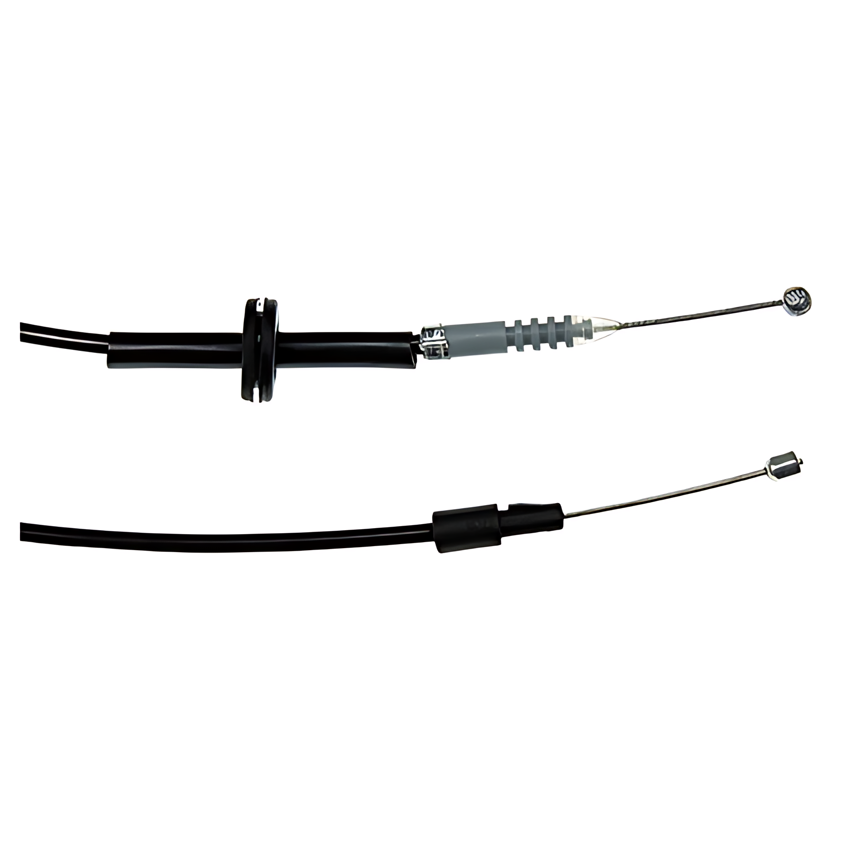 CABO CAPO - 1338861080