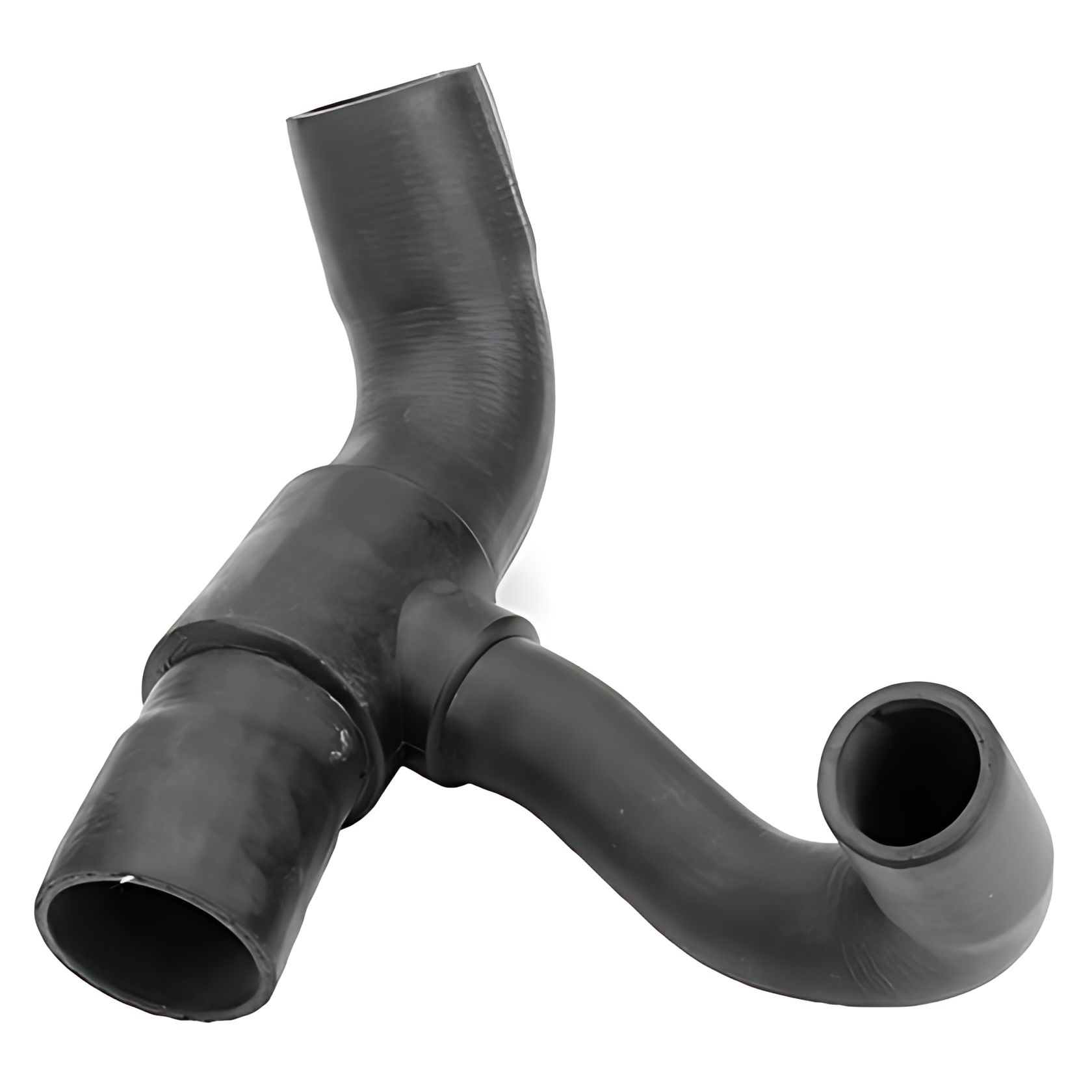 MANGUEIRA RAMIFICADA - 1373919