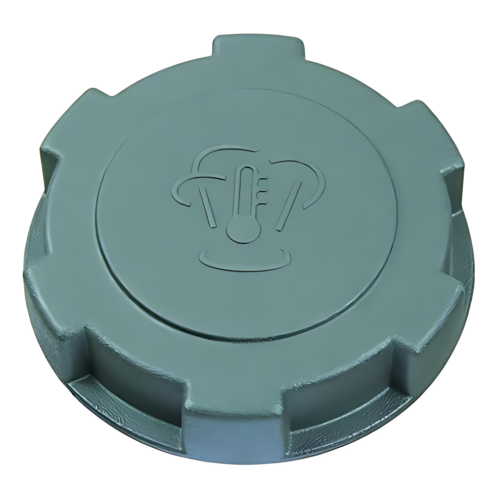 TAMPA PLASTICA RESERVATORIO AGUA 0,7 BAR - 1616744