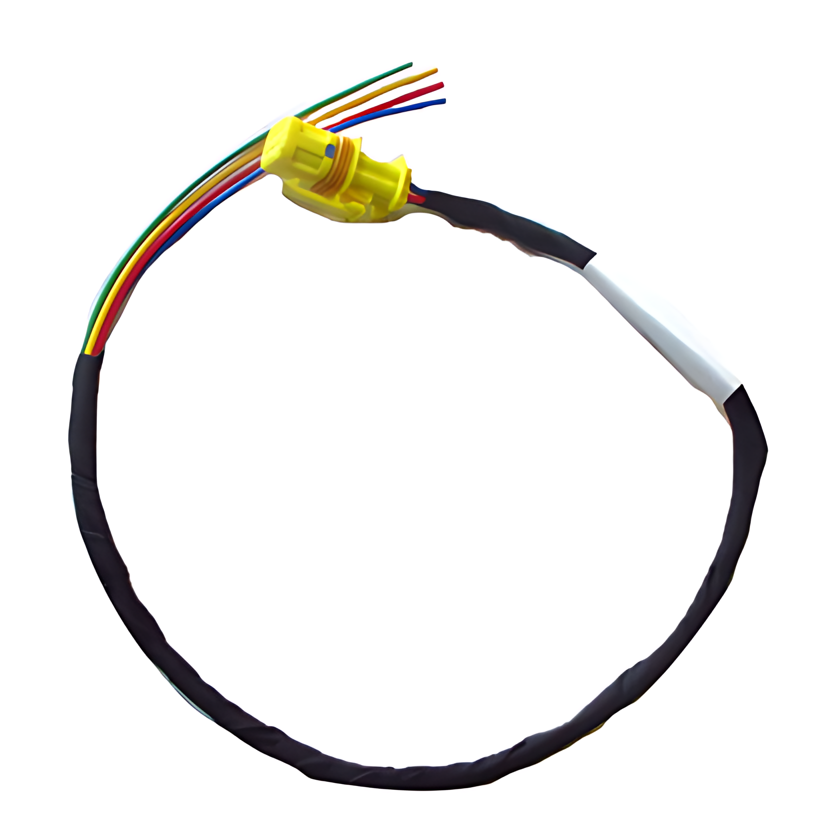 CHICOTE DA VISCOSA - 2T2971126