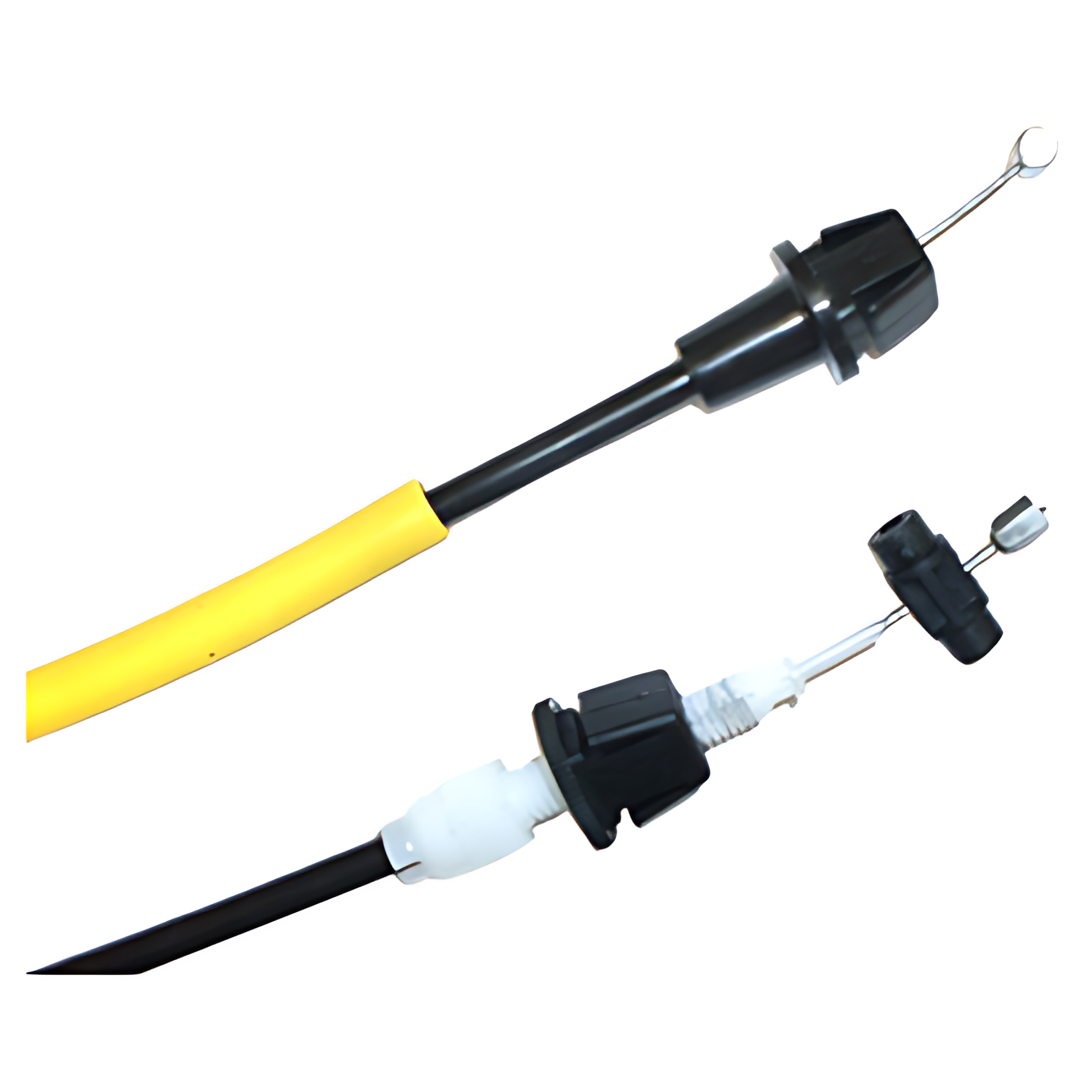 CABO CAPO - 11049650522