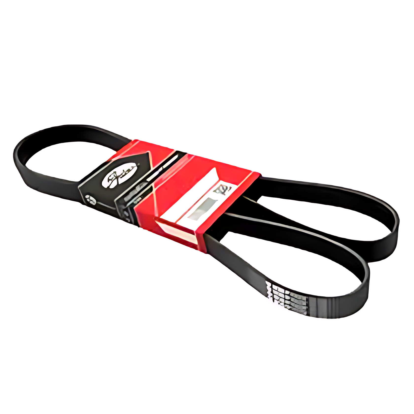 CORREIA V DUPLA - 2X13X1010