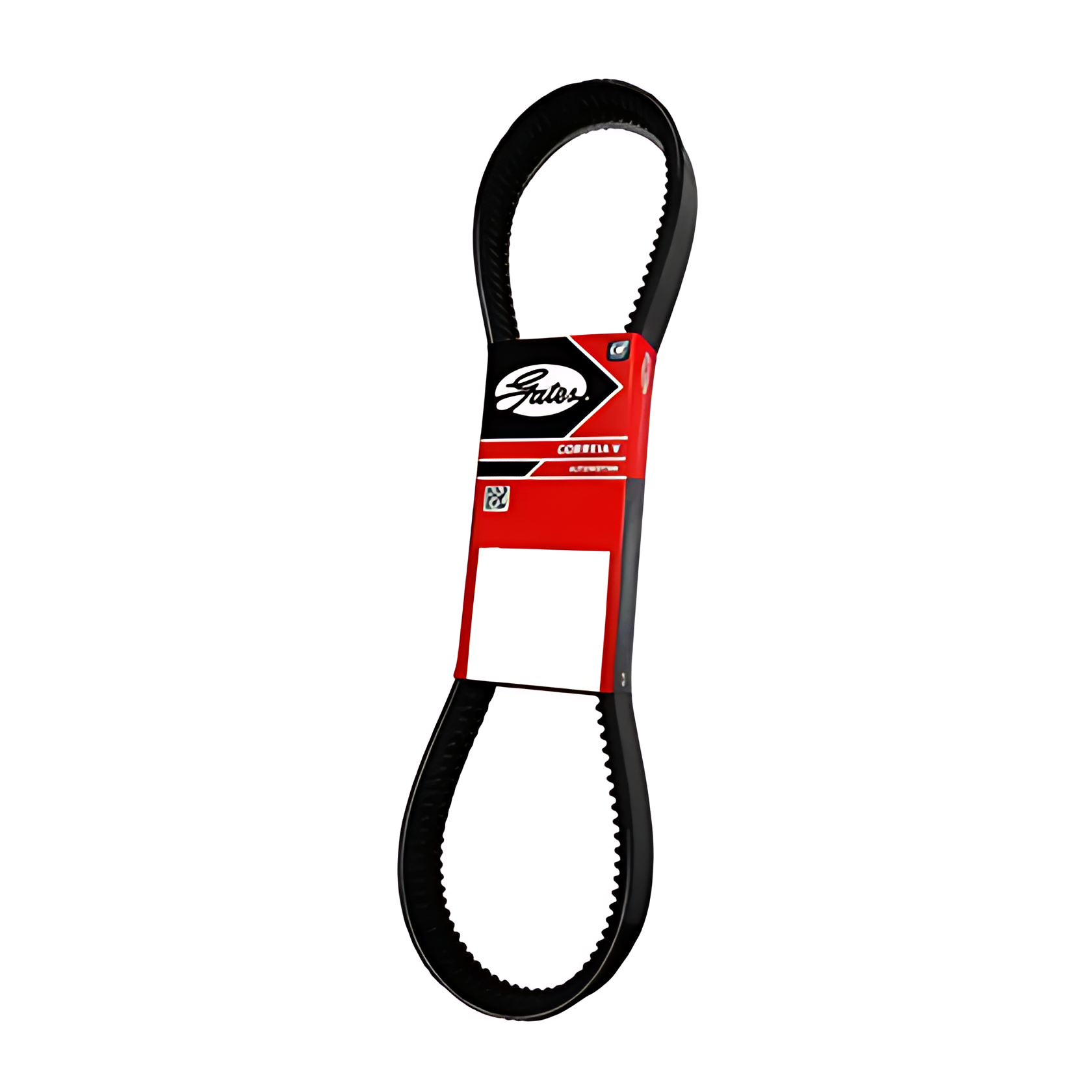 CORREIA V DUPLA - 2X13X1125