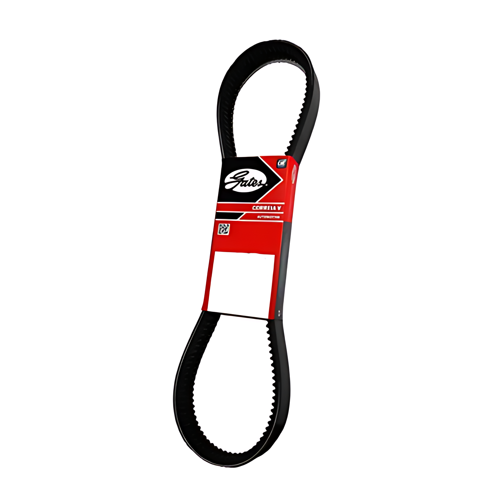 CORREIA V DUPLA - 2X13X1265