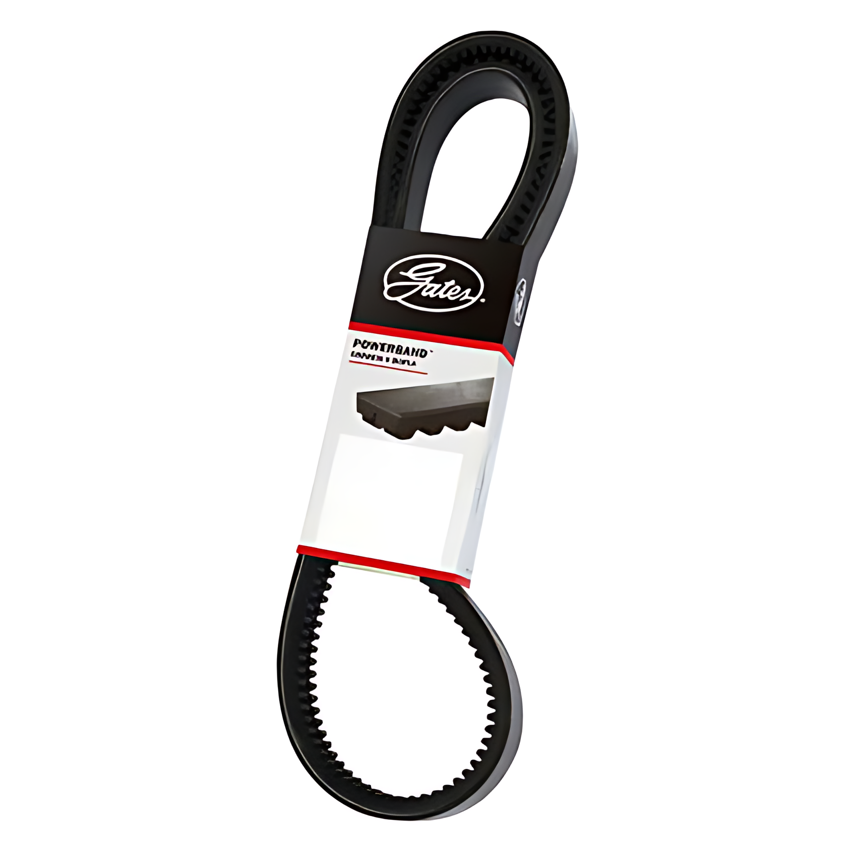 CORREIA EM V DUPLA - 2/BXS41AC