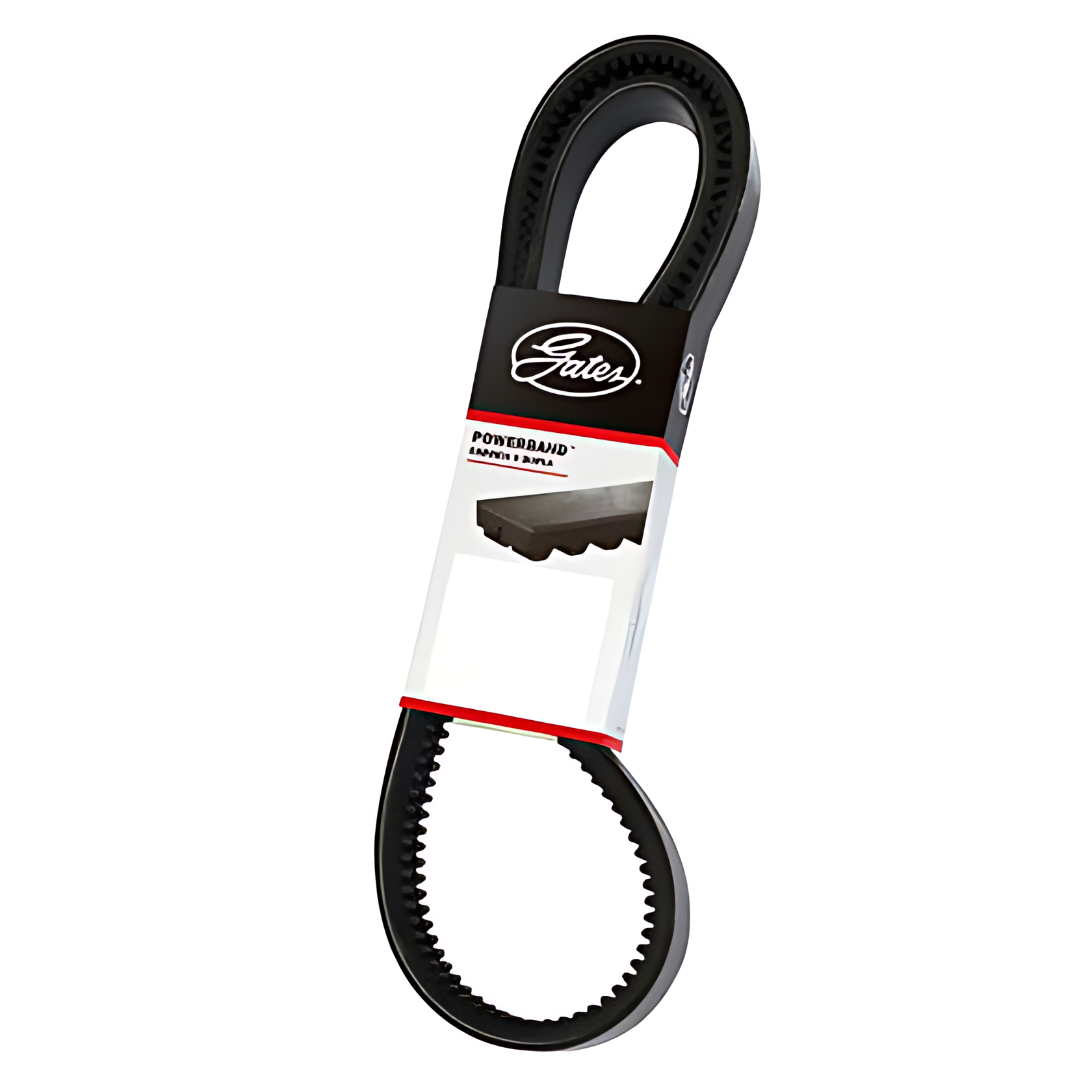 CORREIA EM V DUPLA - 2/BXS45AC