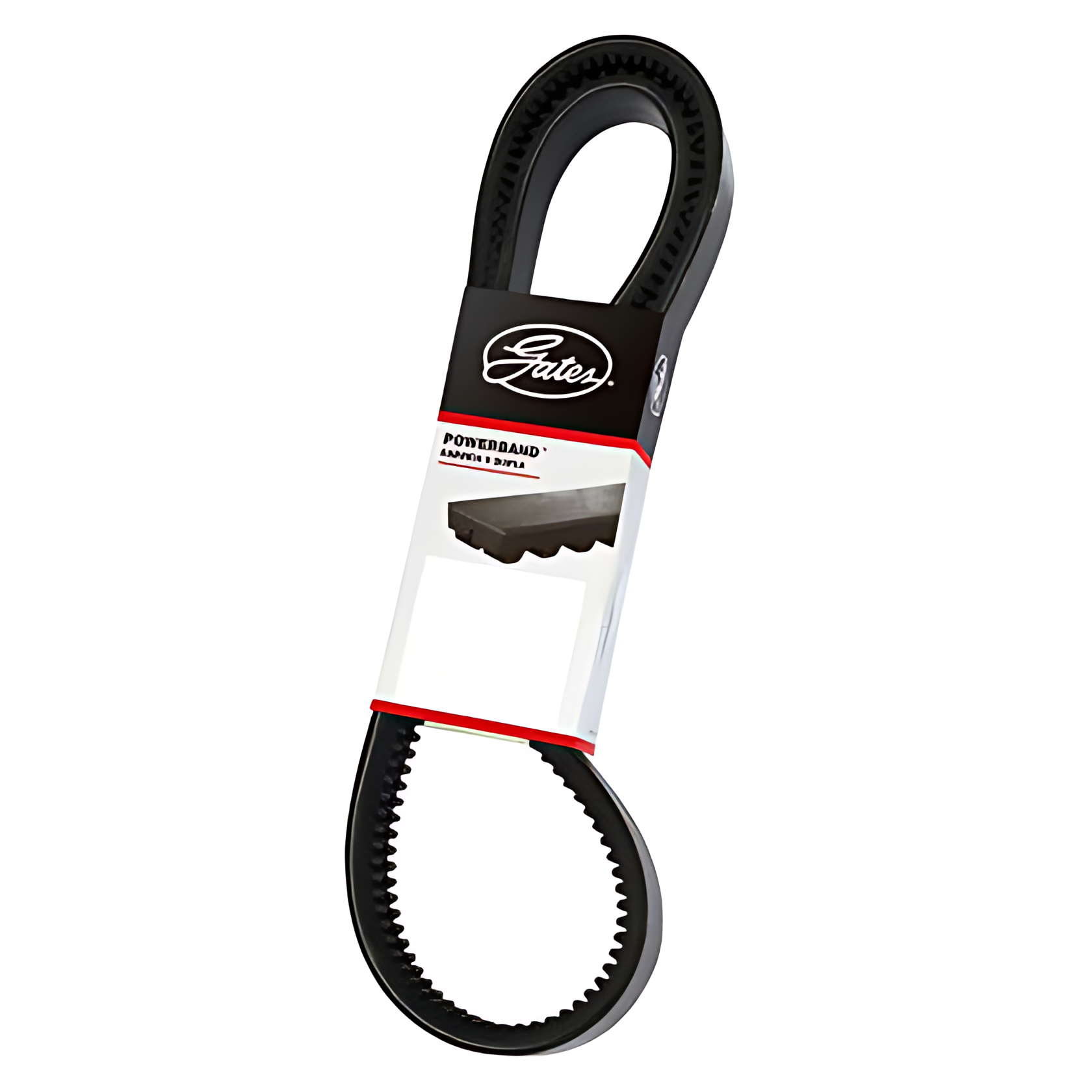 CORREIA EM V DUPLA - 2/BXS48AC