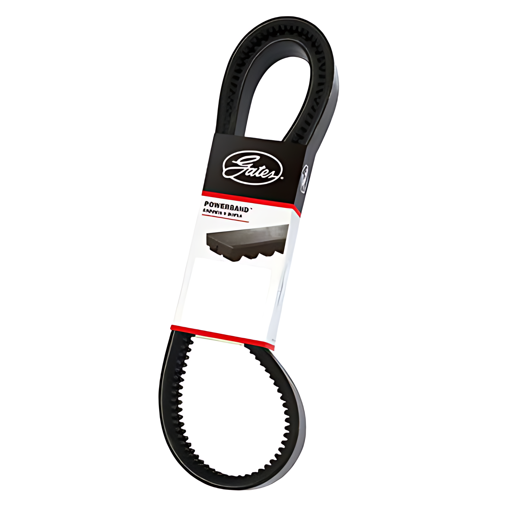 CORREIA EM V DUPLA - 2/BXS61AC