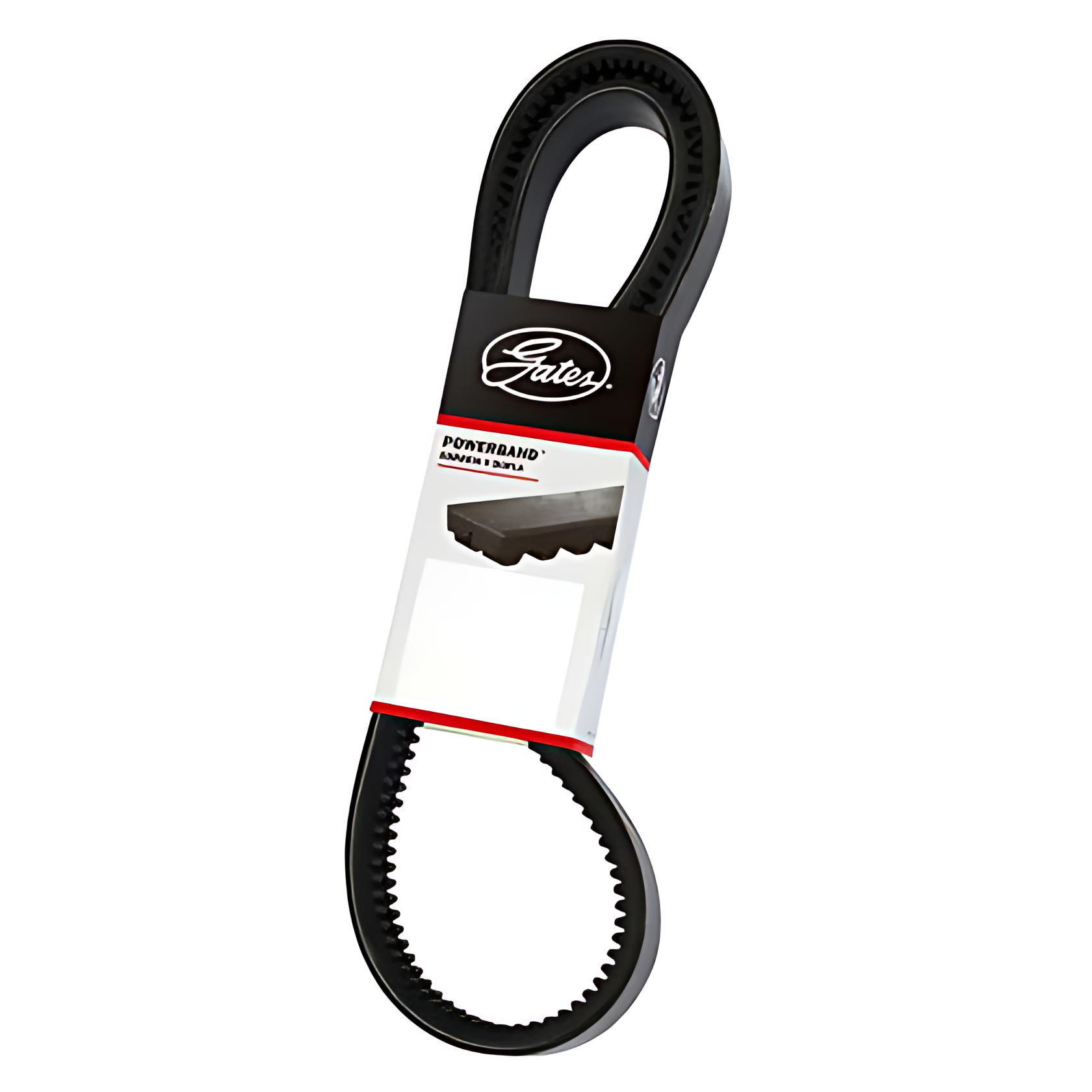 CORREIA EM V DUPLA - 2/BXS65AC