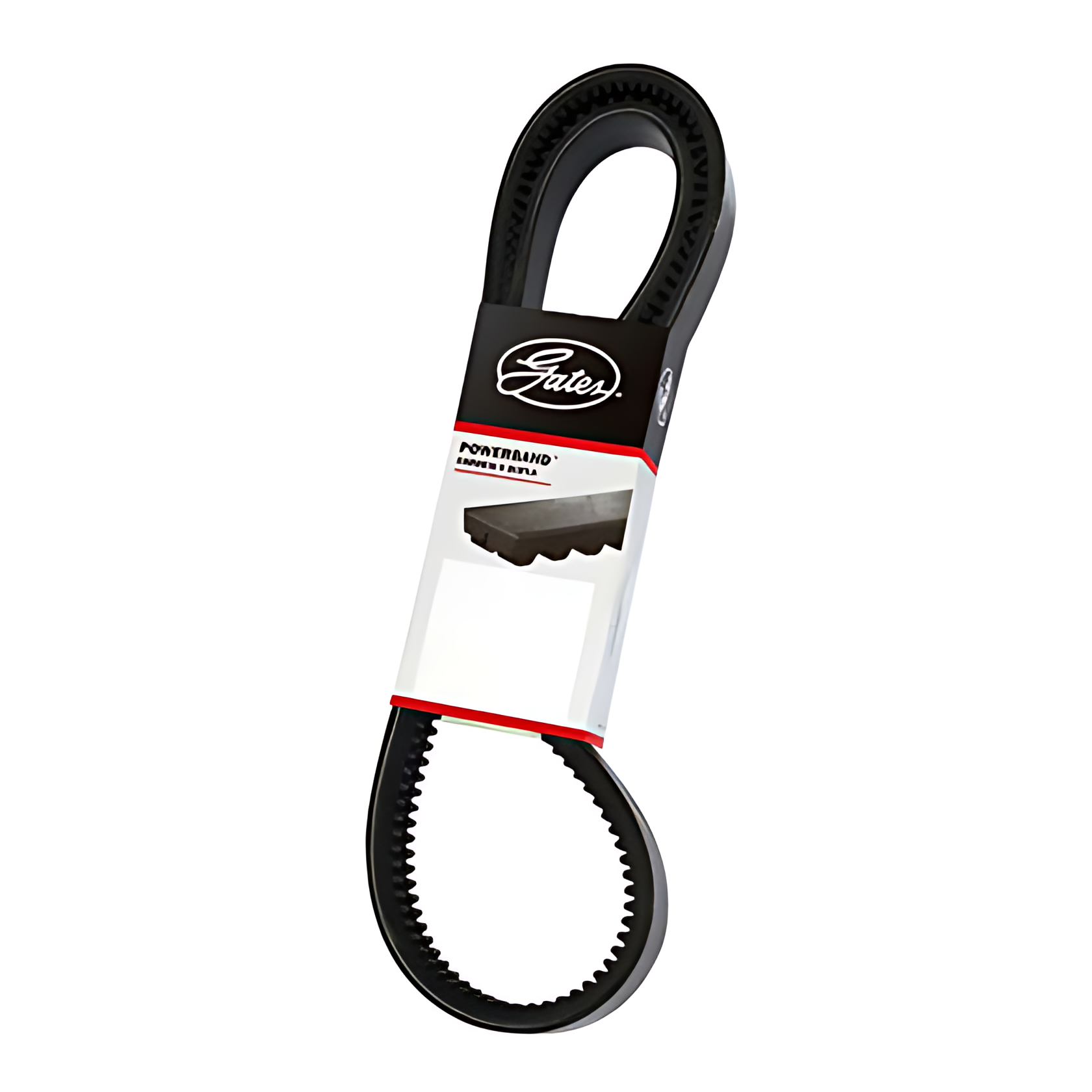 CORREIA EM V DUPLA - 2/BXS67AC