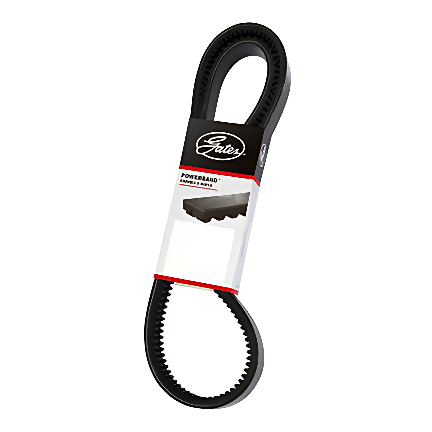 CORREIA EM V DUPLA - 2/BXS71AC