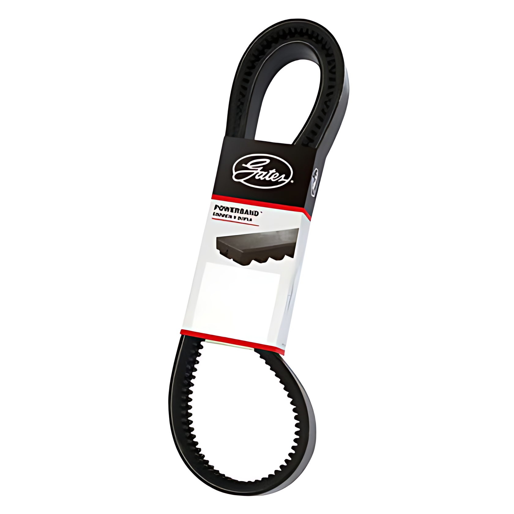 CORREIA EM V DUPLA 2/BXS73AC - 2/BXS73AC