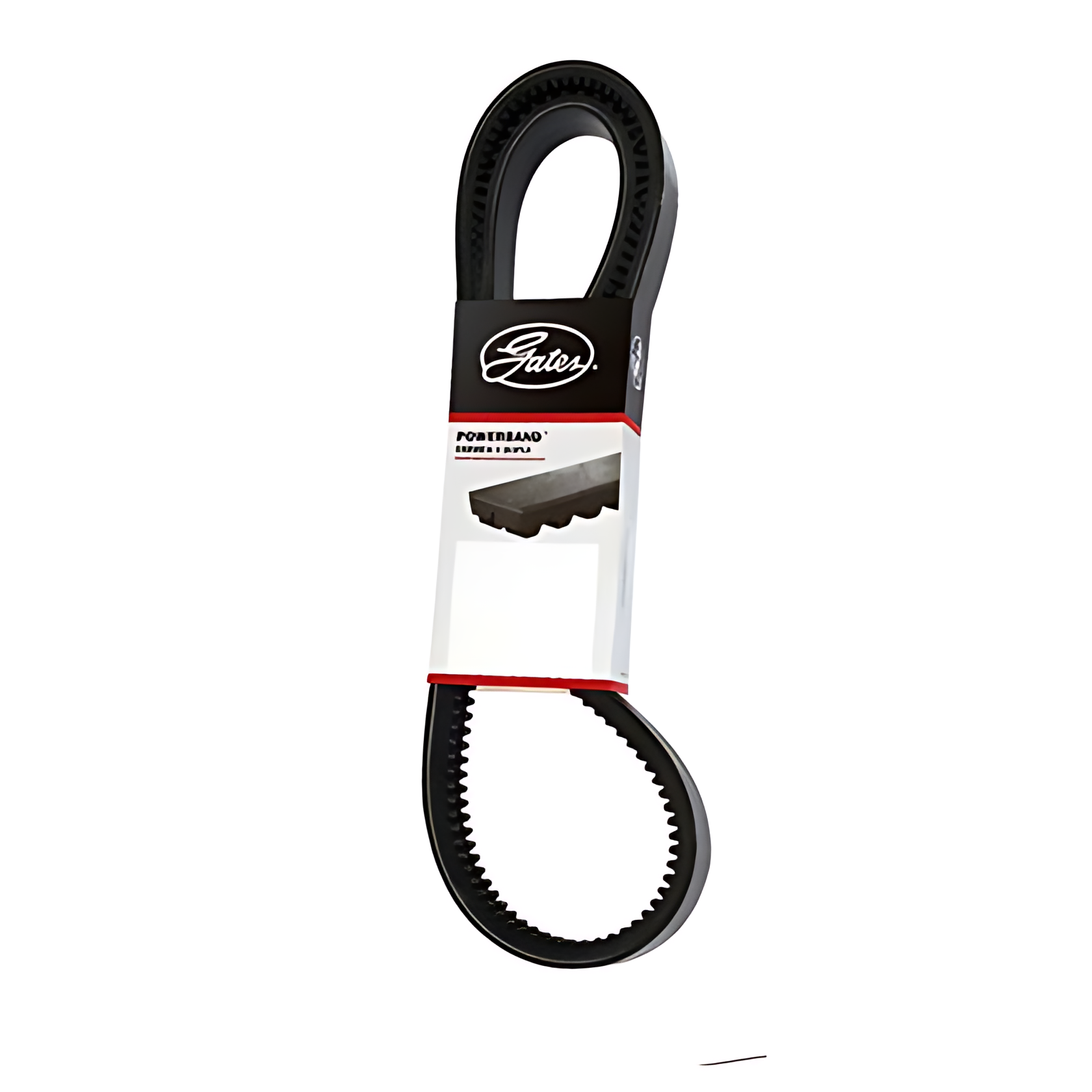 CORREIA EM V DUPLA - 2/BXS81AC