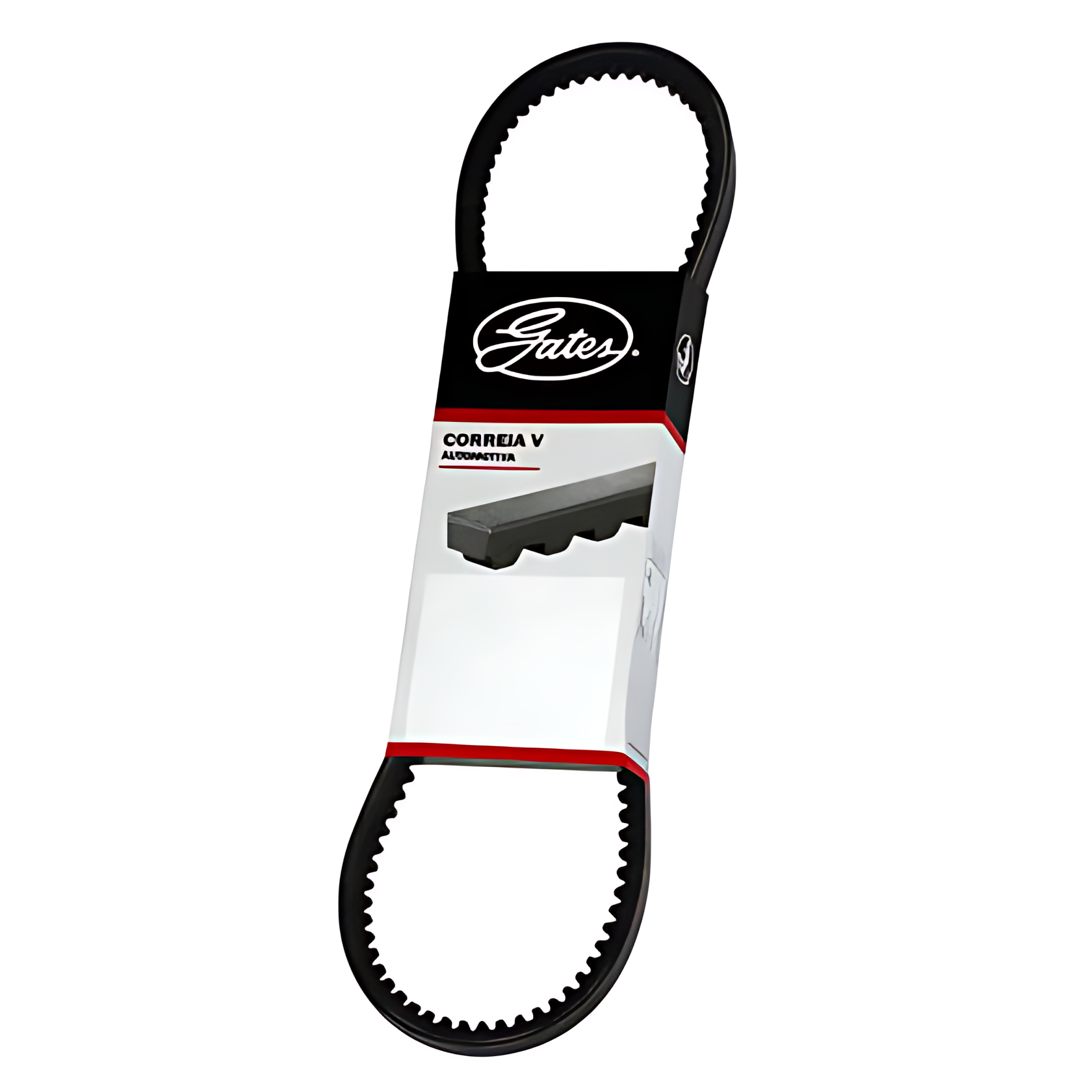 CORREIA V 13X1065 - 9419