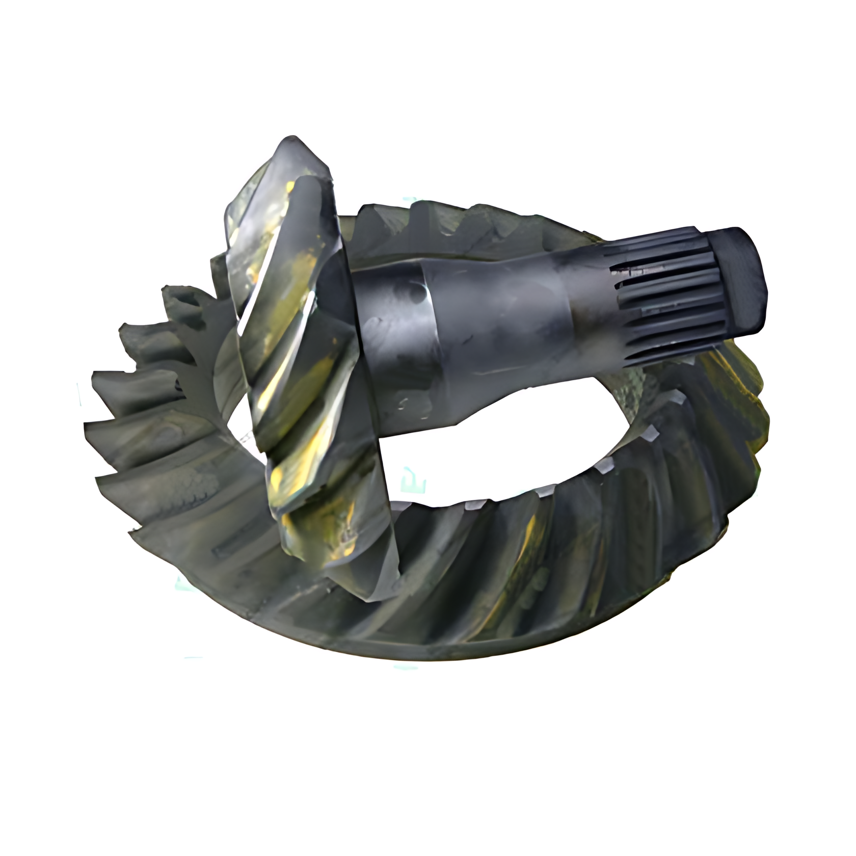 COROA PINHAO 24X26 HL 7 - 30001073-4