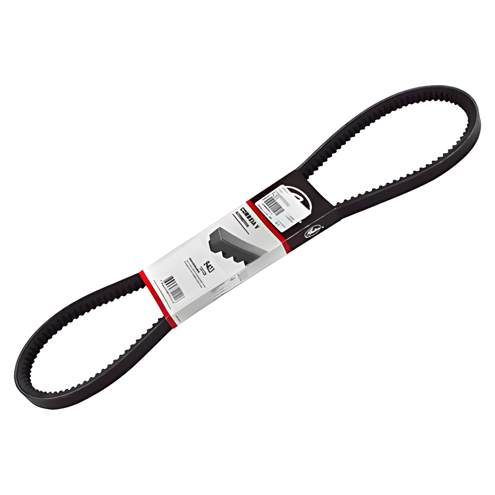 CORREIA V - 3769970592