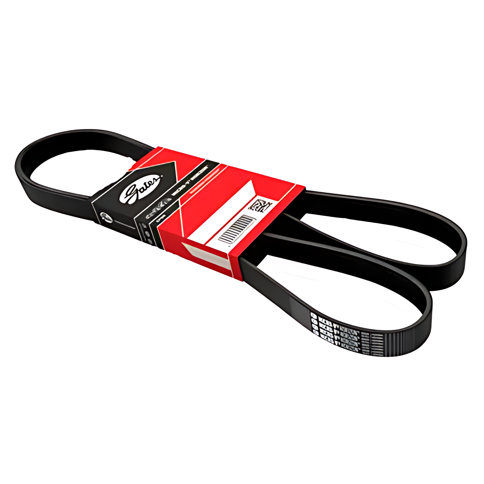 CORREIA MOTOR - 10PK1445